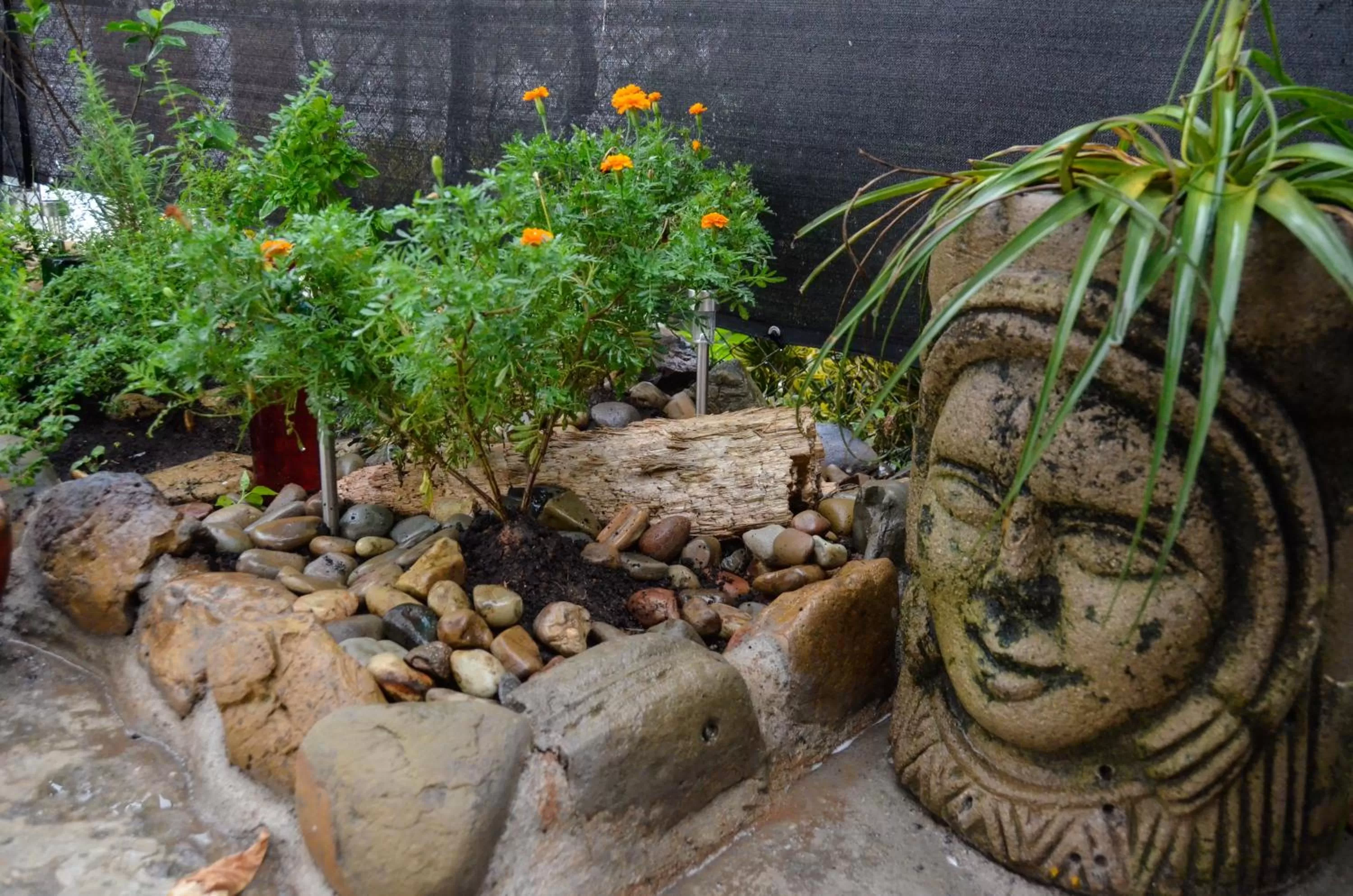 Decorative detail in Nuestra Casa