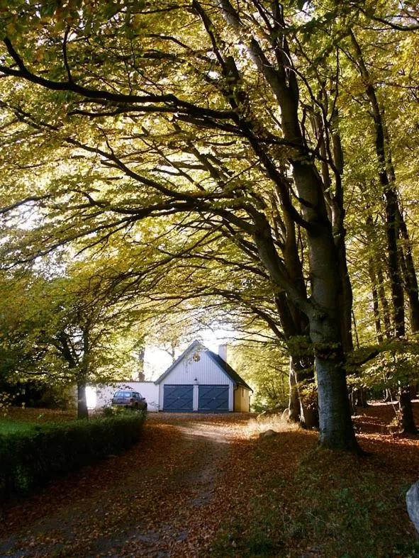 Facade/entrance in Trolleberg Bed & Breakfast