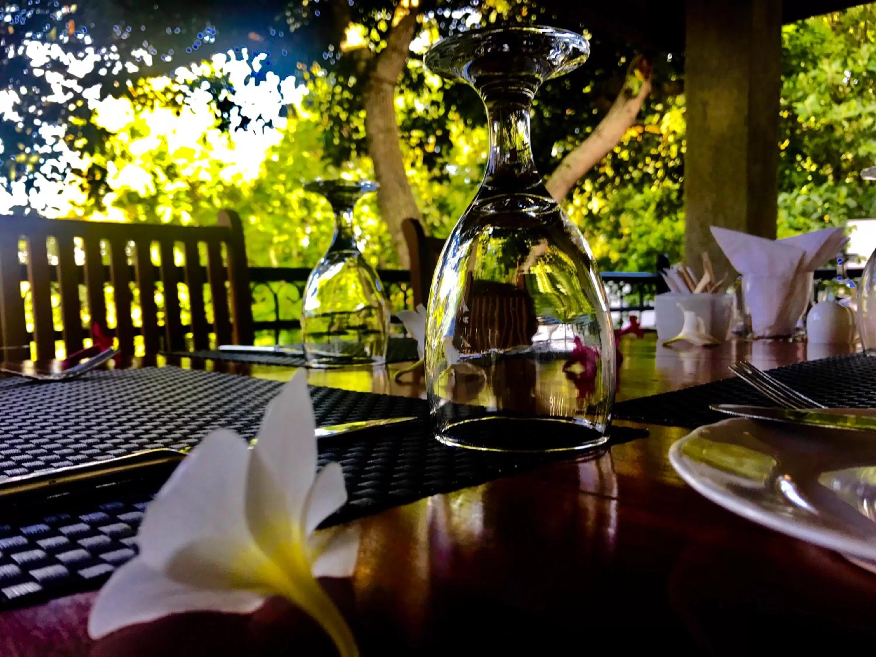 Restaurant/places to eat in Elegant Hotel