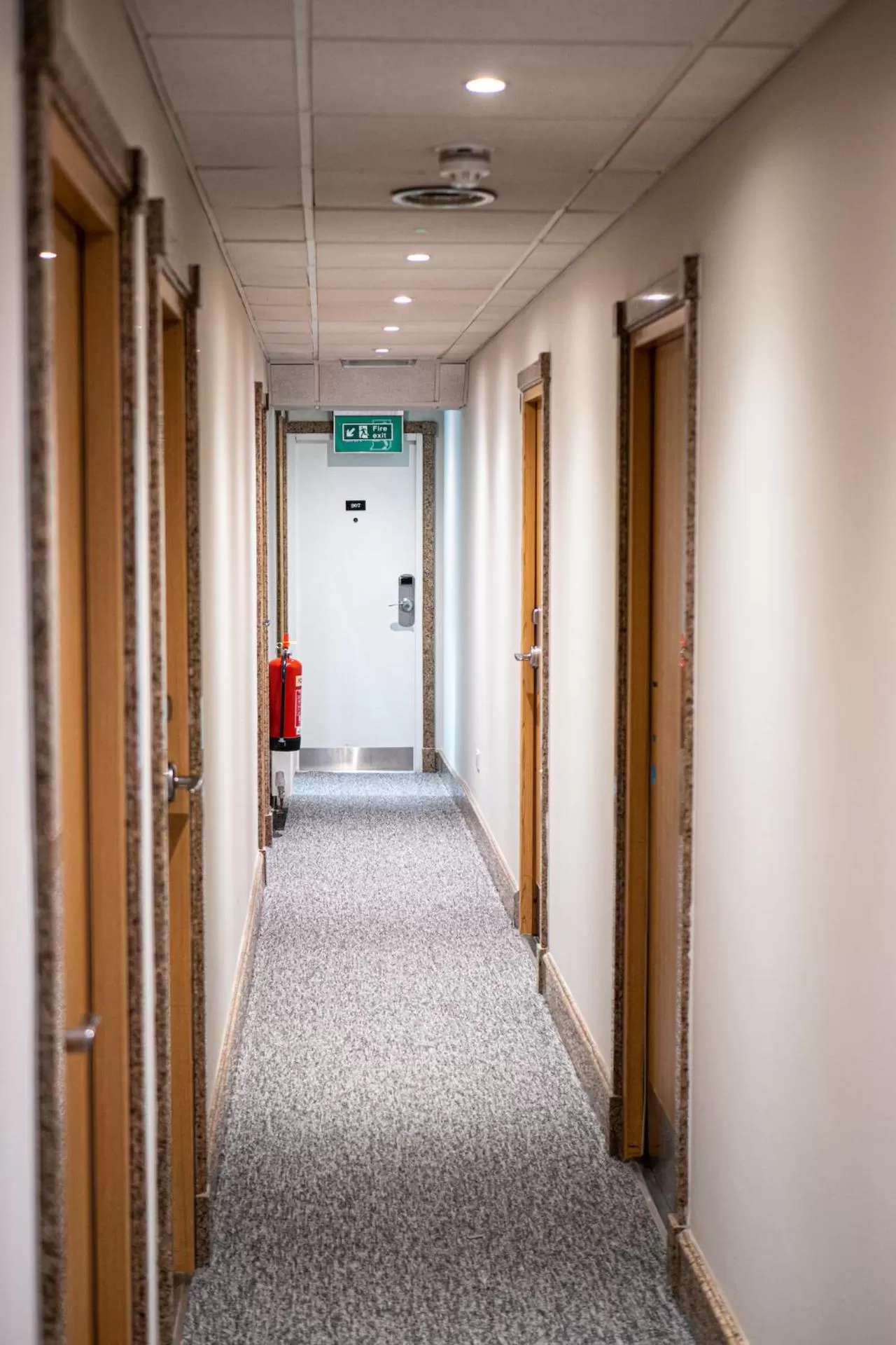 Property building in Maiden Oval