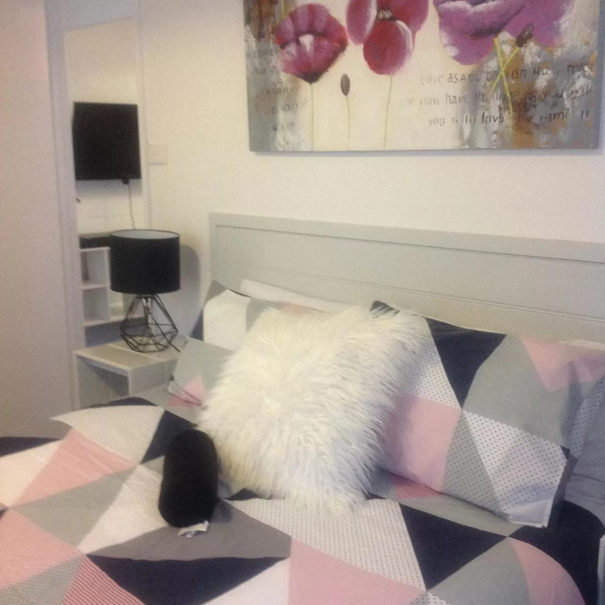 Bed in Motel Farnboro