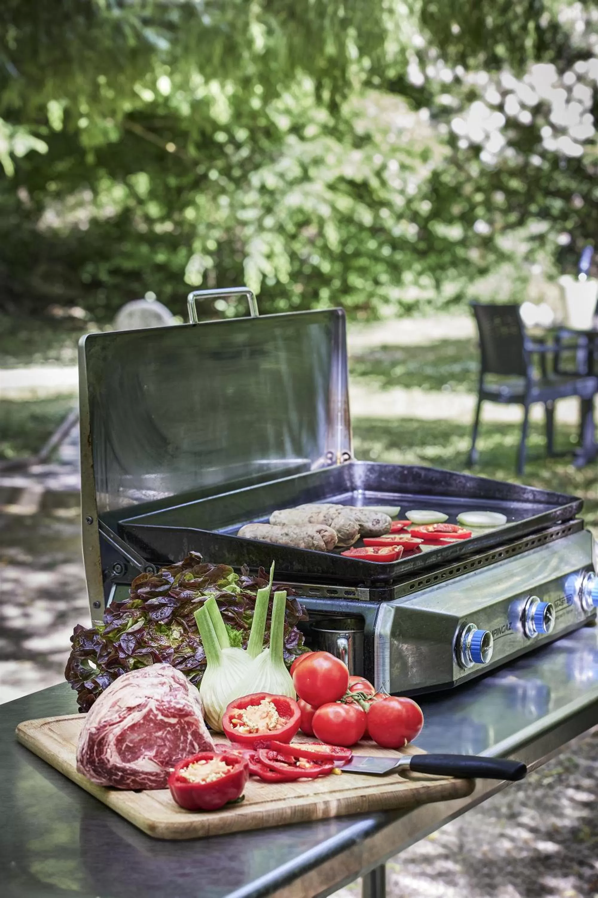 BBQ facilities in Logis Bagatelle - 51530 Dizy