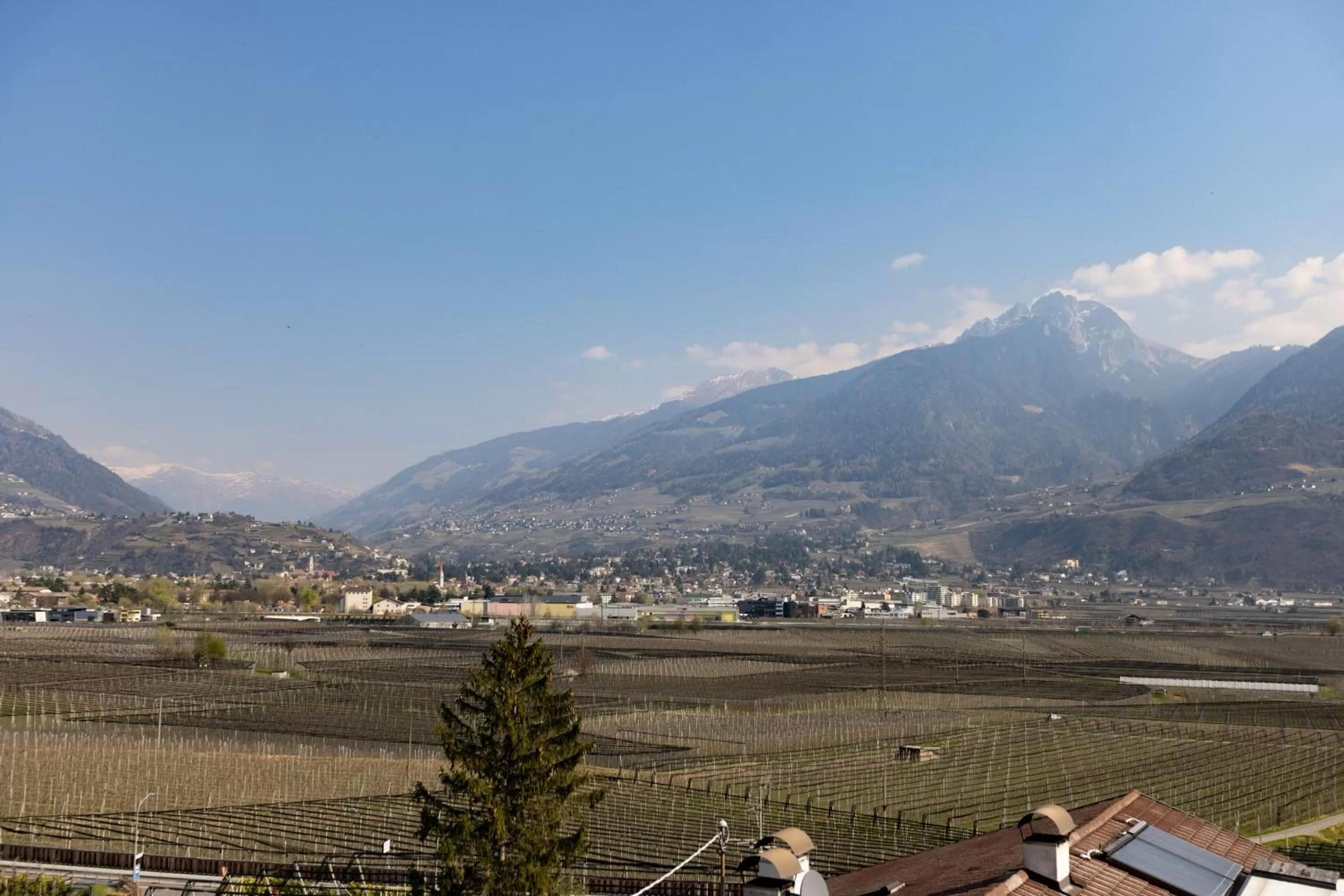 Garden in Residence Margreth