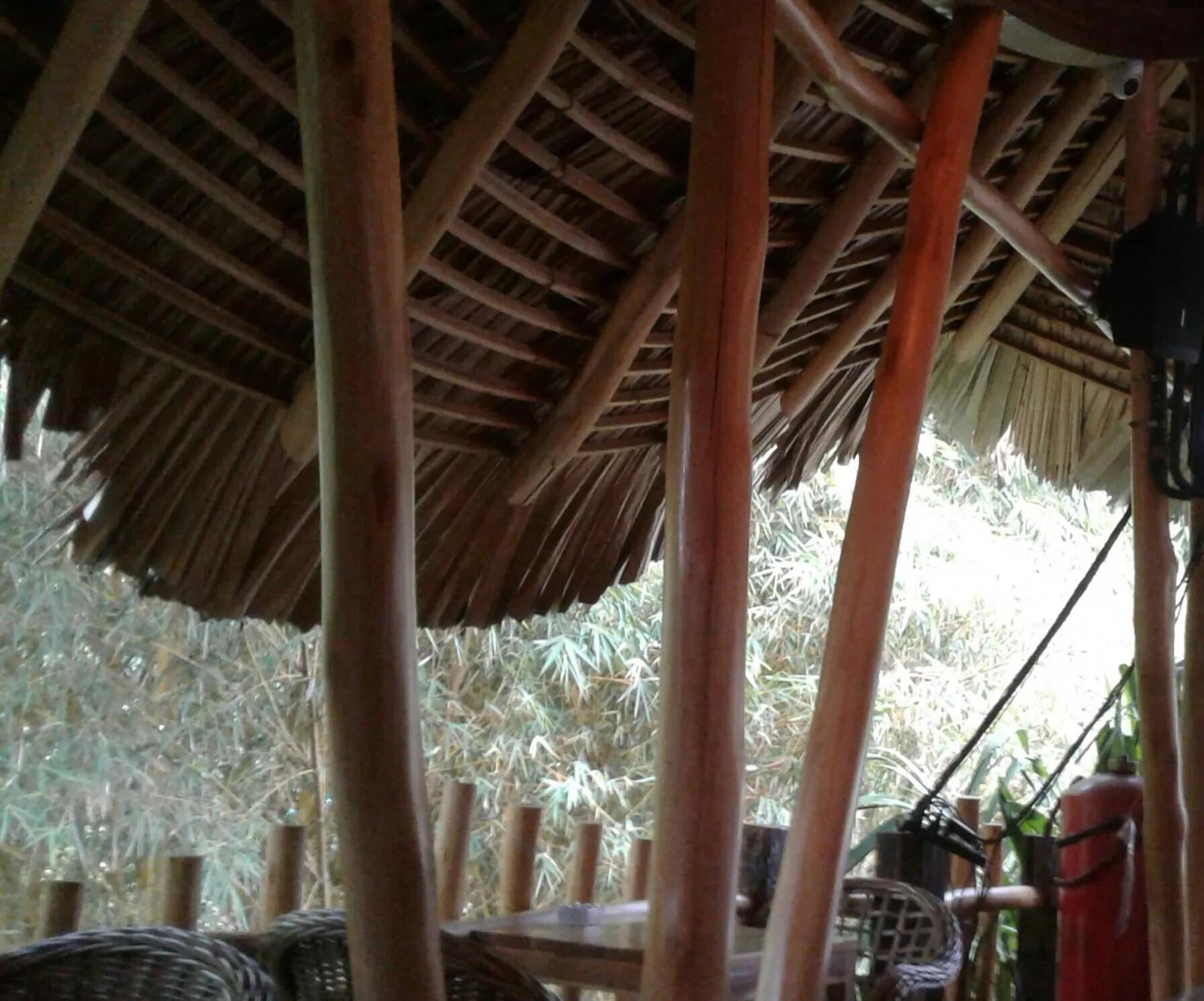 Ella Lucky Panoramic