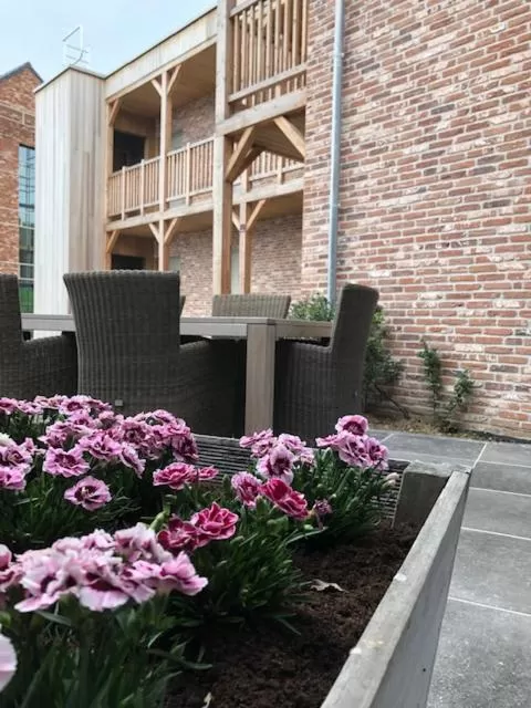 Property building in B&B Sasput