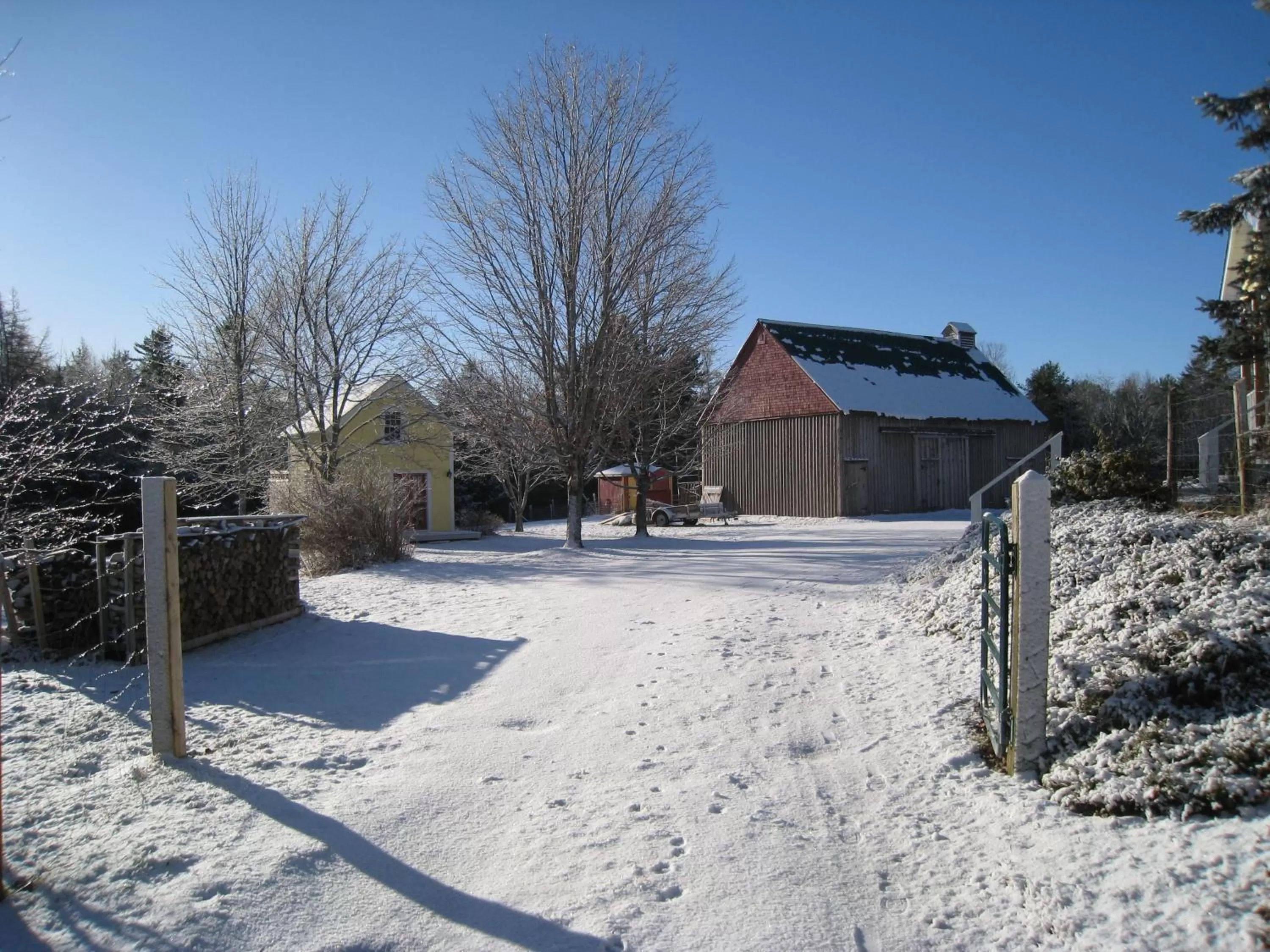 View (from property/room) in River Ridge Lodge