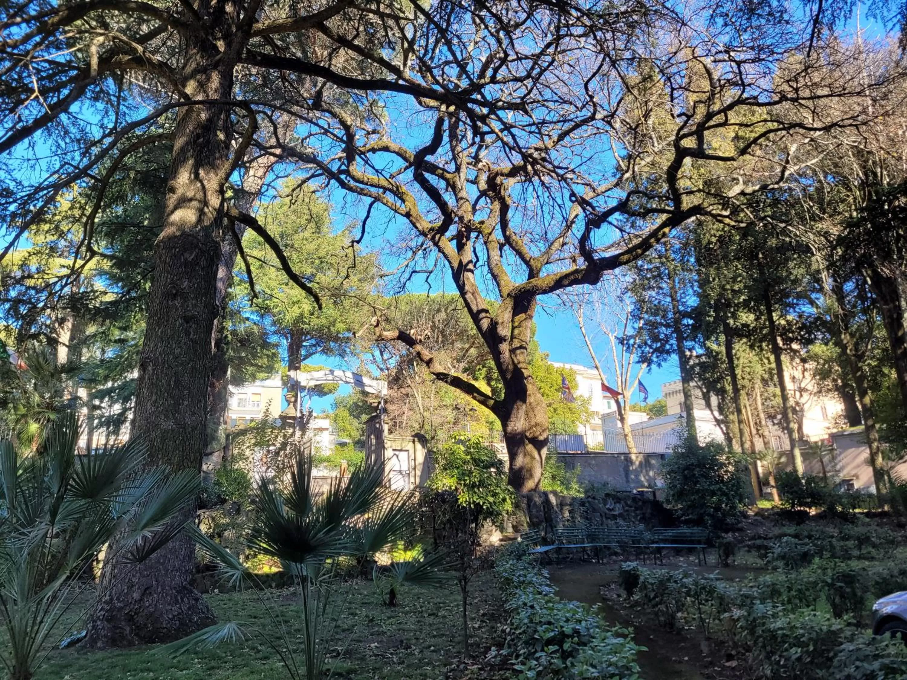 Garden in Hotel Villa Aricia
