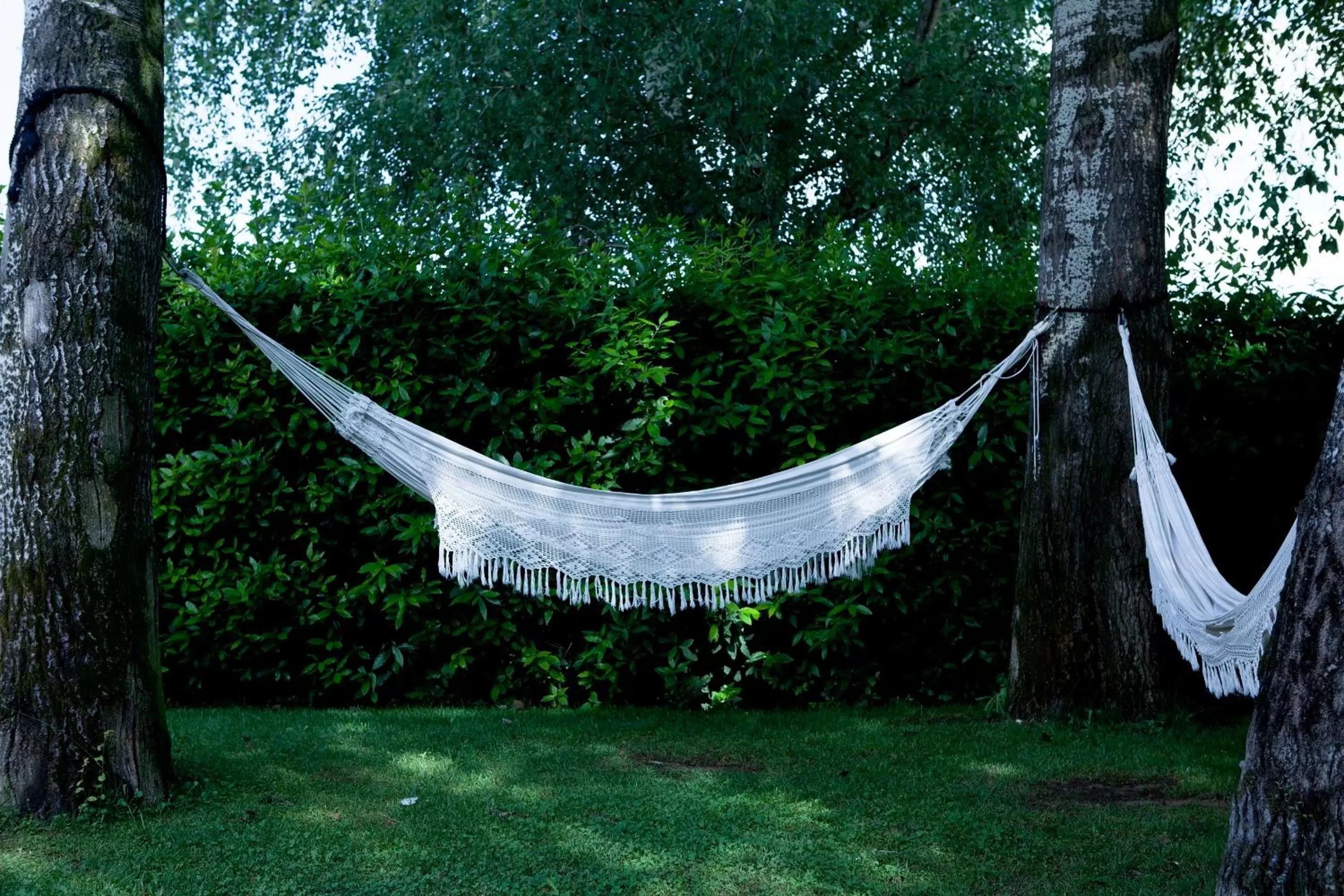 Garden in Riva Lofts Florence