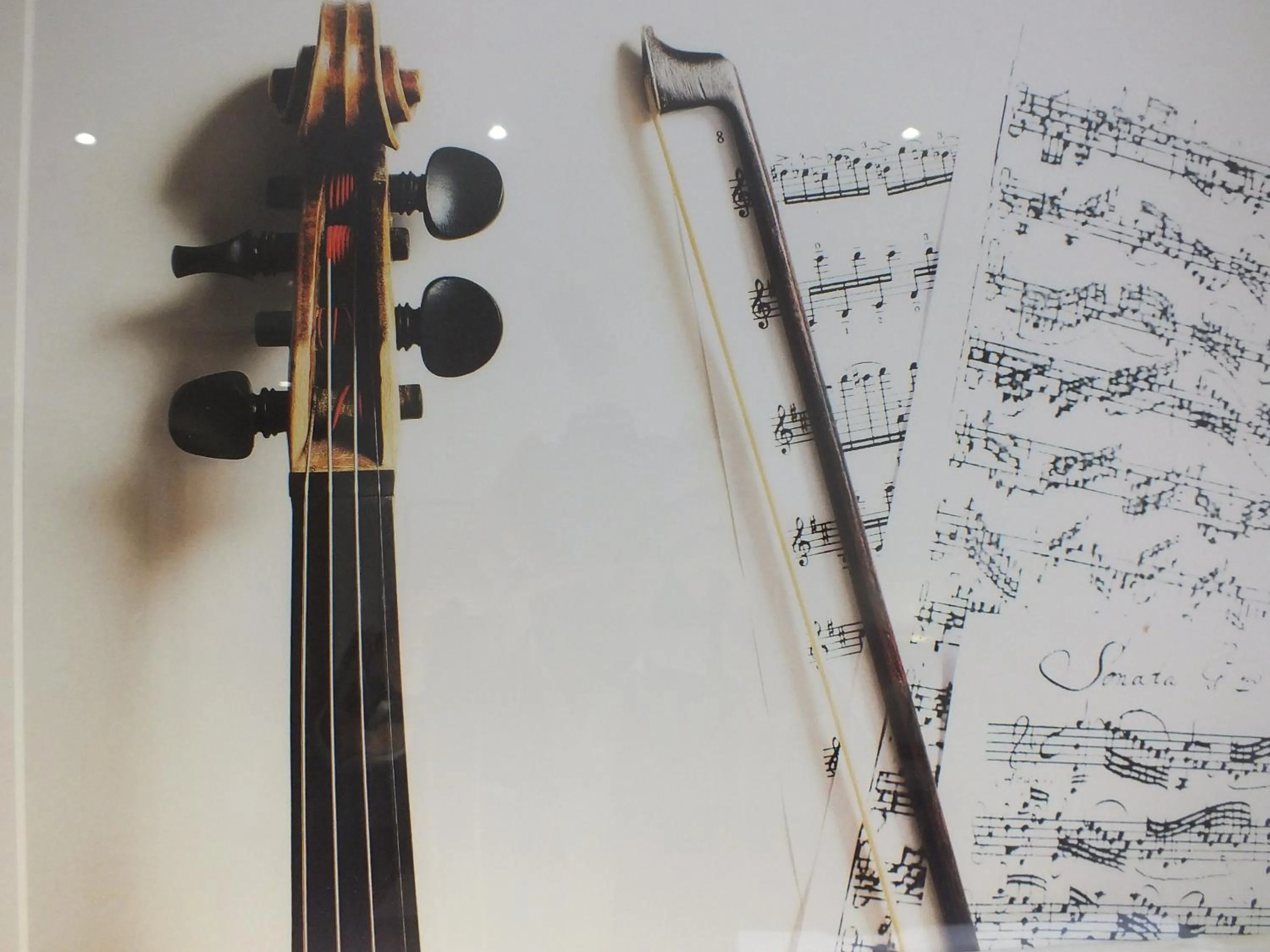 Decorative detail in Hotel Paganini