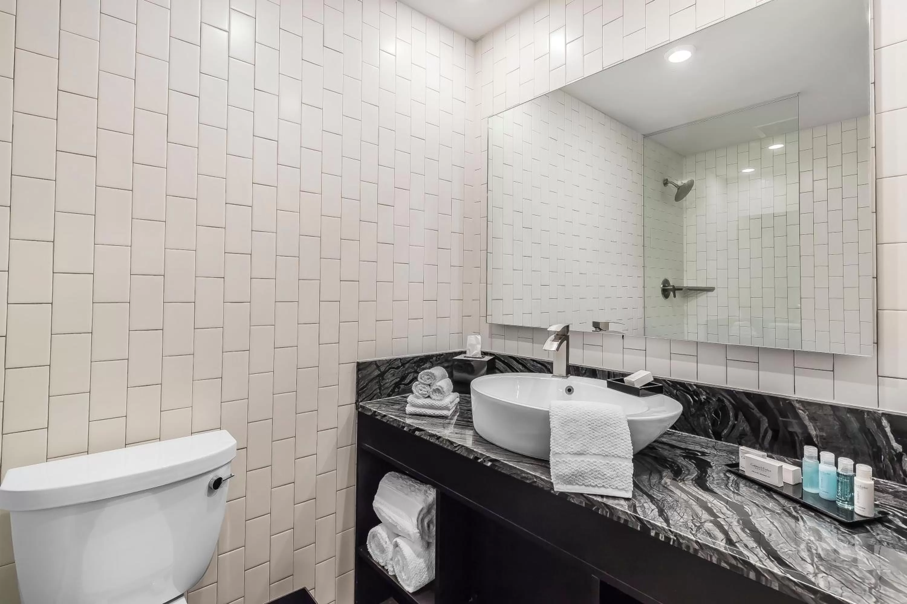 Bathroom in Lorenzo Hotel Dallas, Tapestry Collection by Hilton