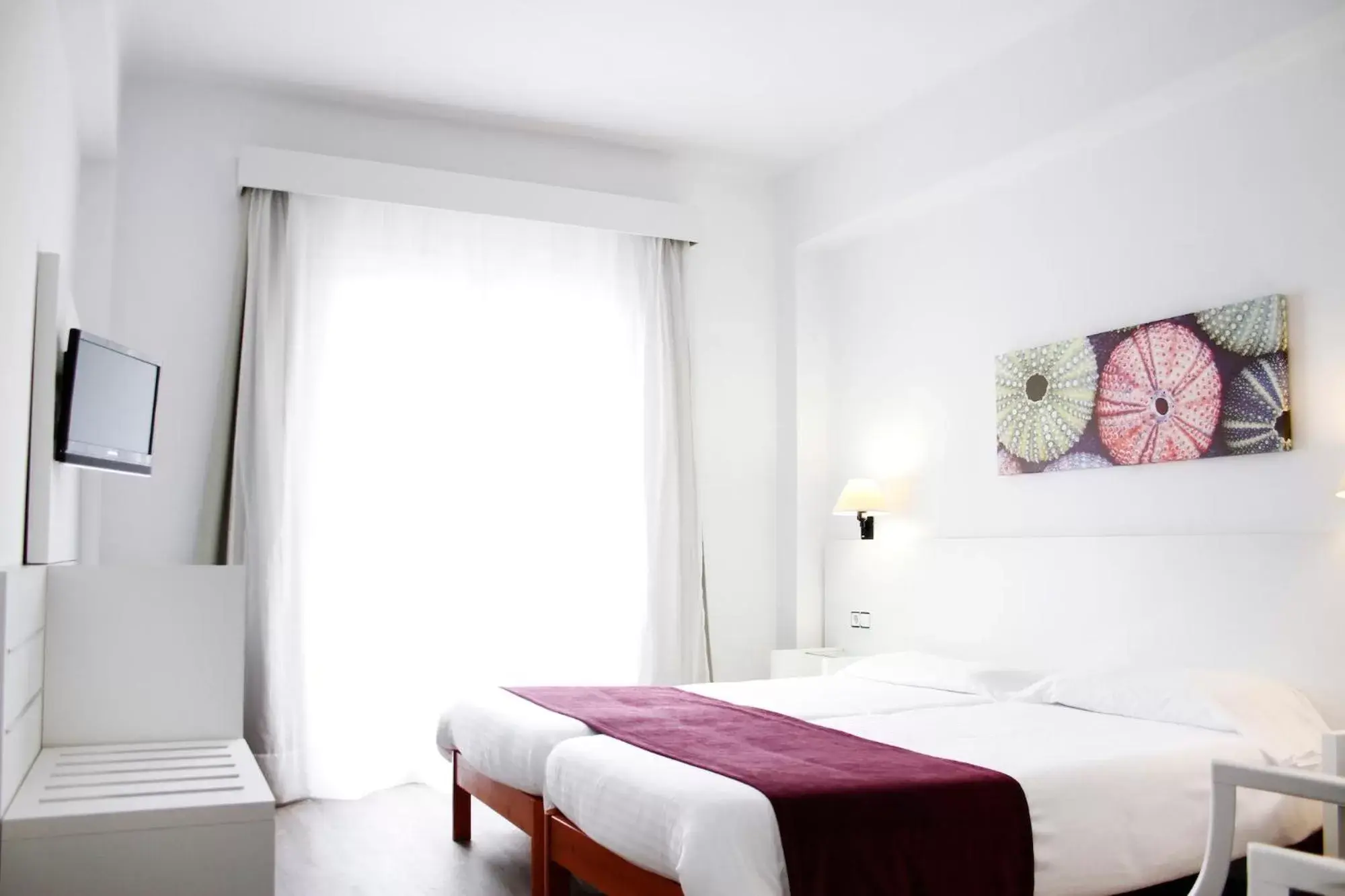 Standard Double Room Single Use in Morlans Garden Standard Double Room Single Use in Morlans Garden