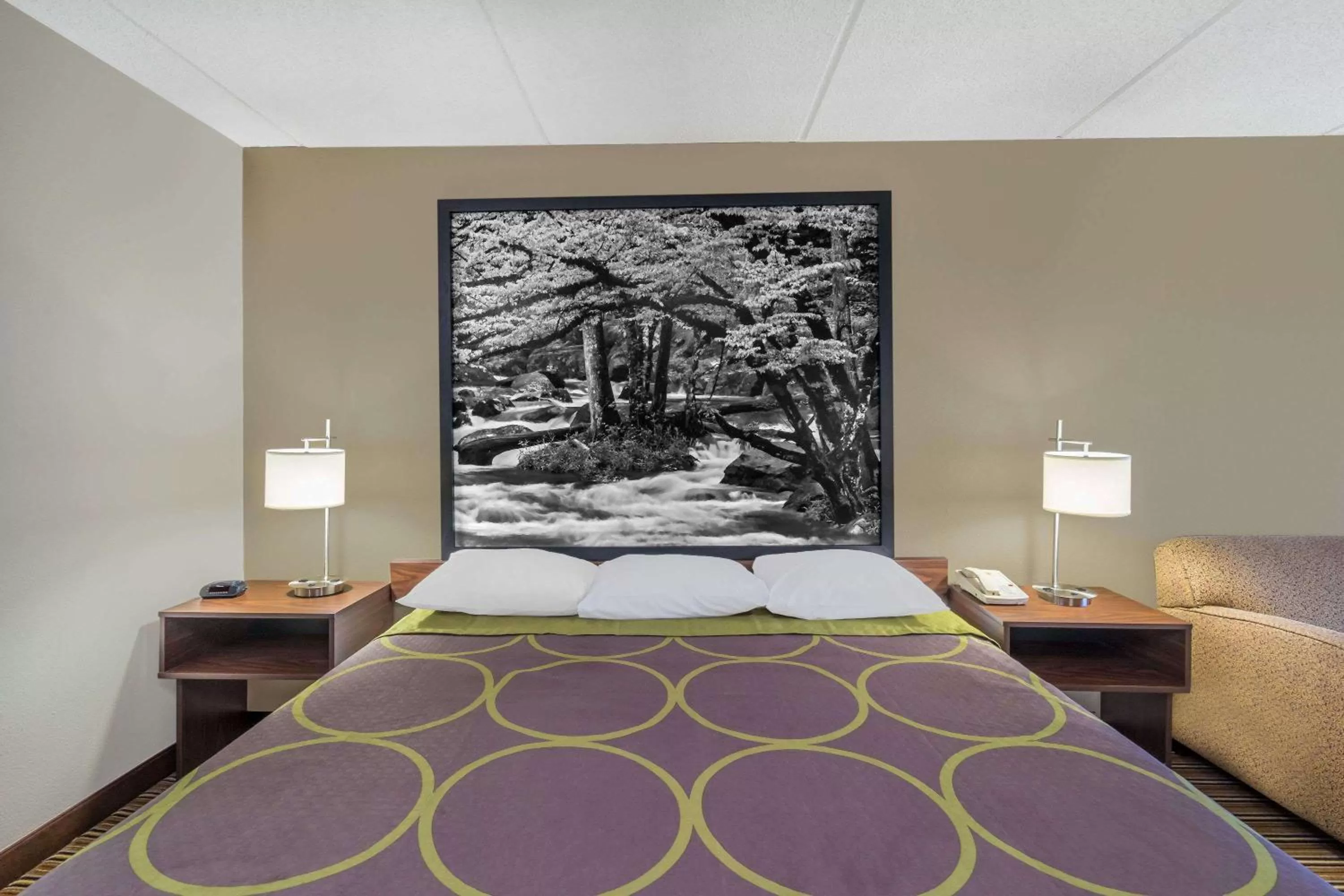 Photo of the whole room, Bed in Super 8 by Wyndham Knoxville North/Powell