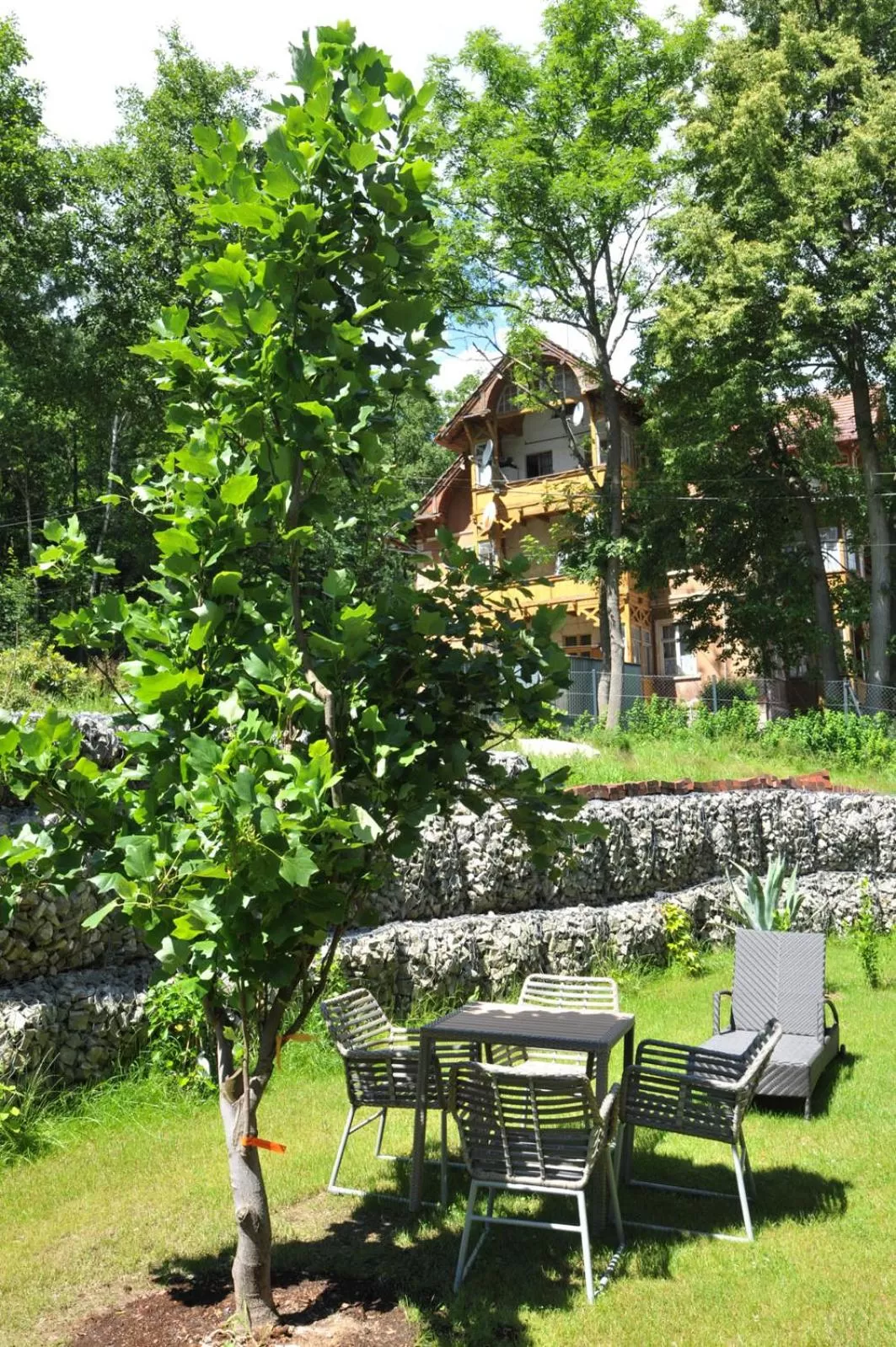 Garden in Boutique Hotel Sudetia - Medical & SPA