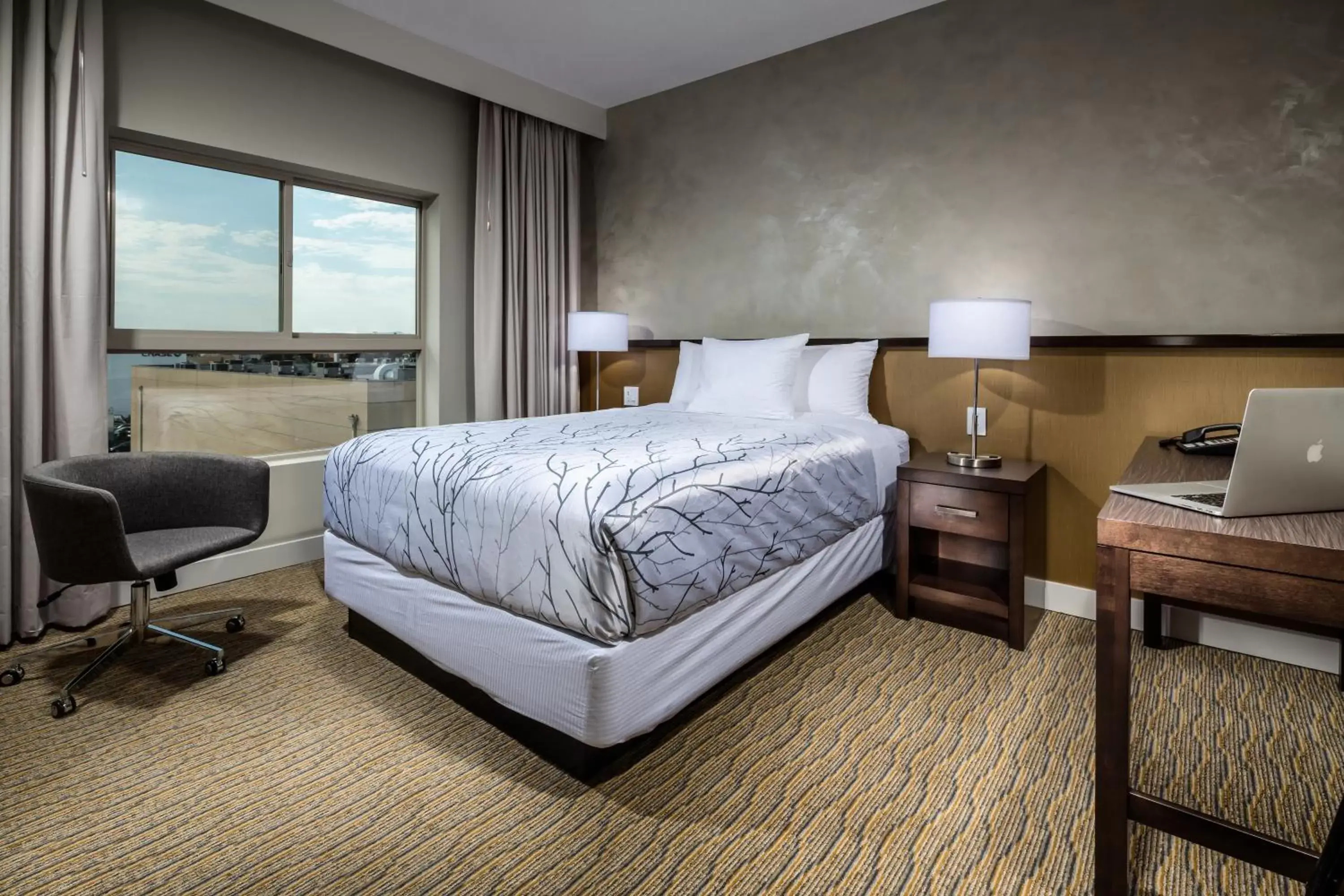 Presidential Suite - Disability Access in Hotel Aventura Presidential Suite - Disability Access in Hotel Aventura