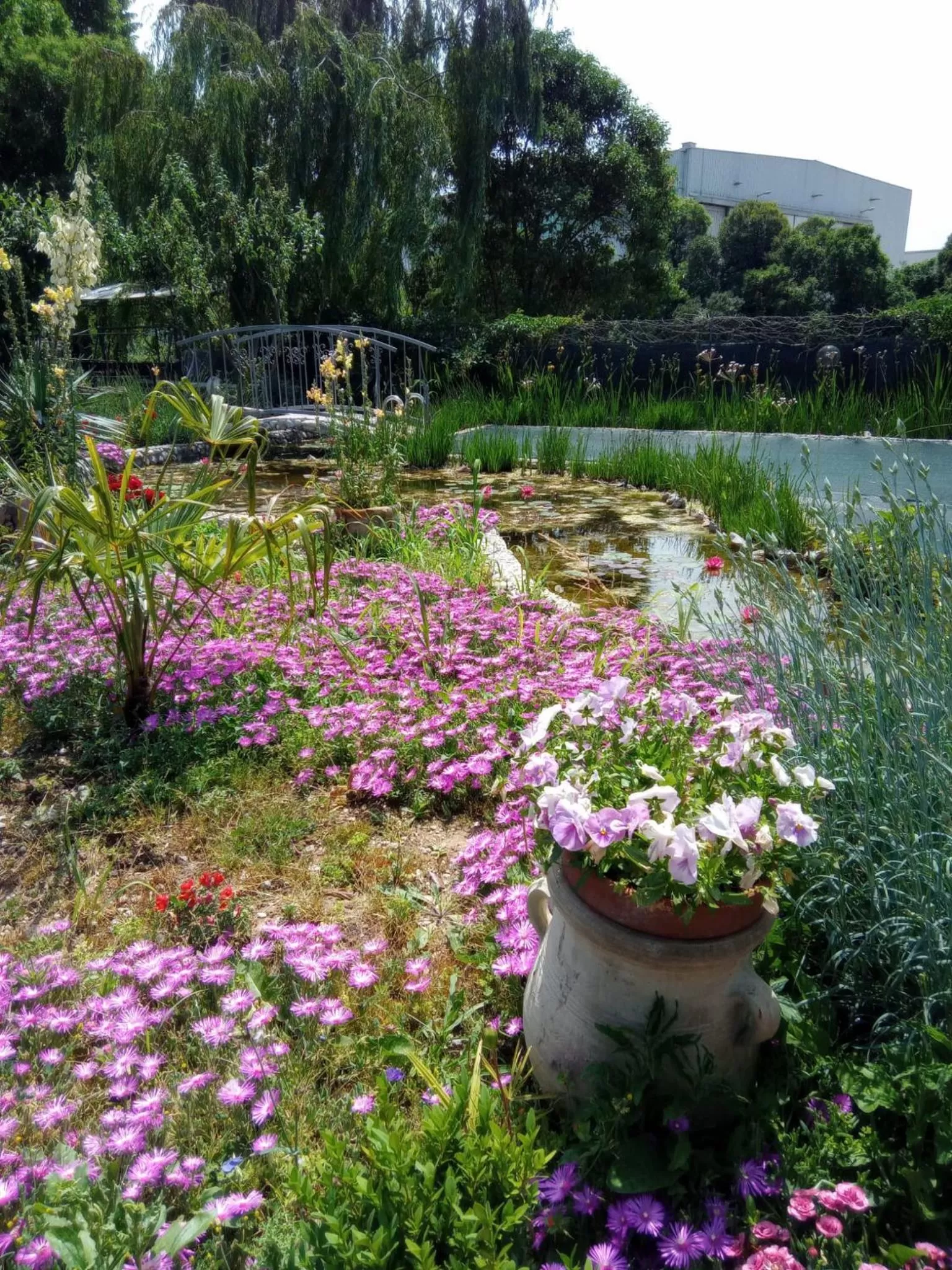 Garden in Villa Fiorita