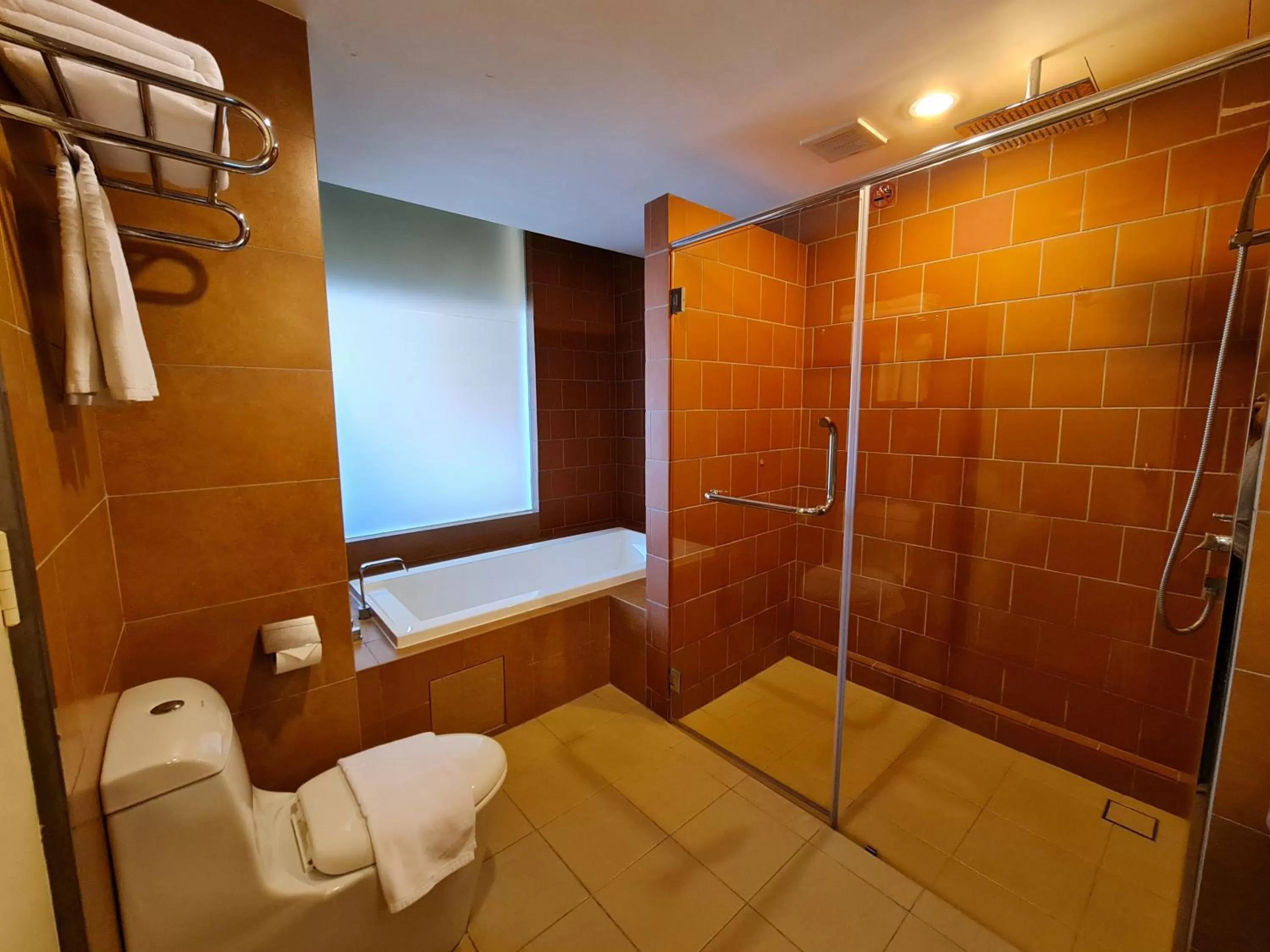 Shower in Swan Garden Hotel