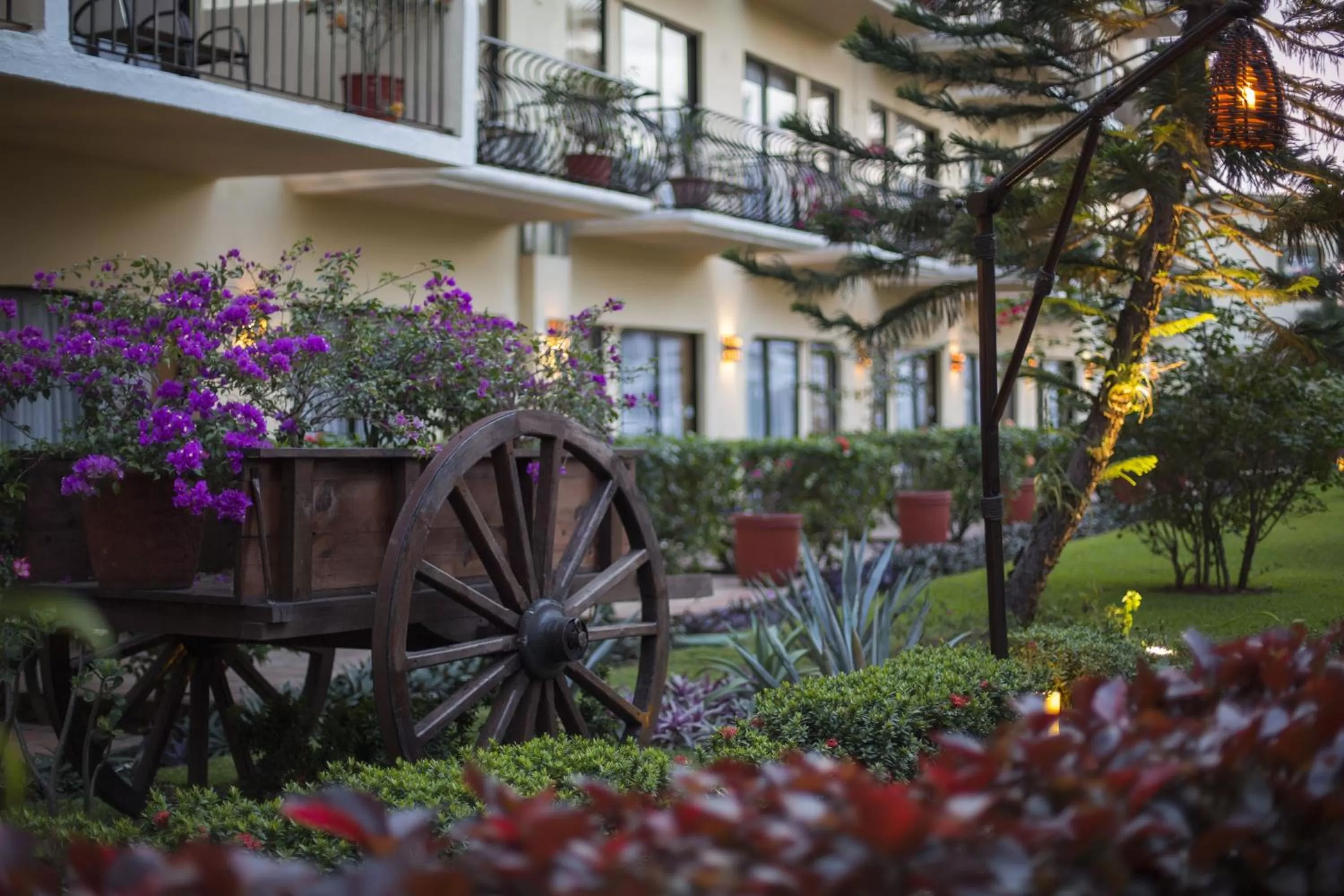 Garden in Flamingo Vallarta Hotel & Marina