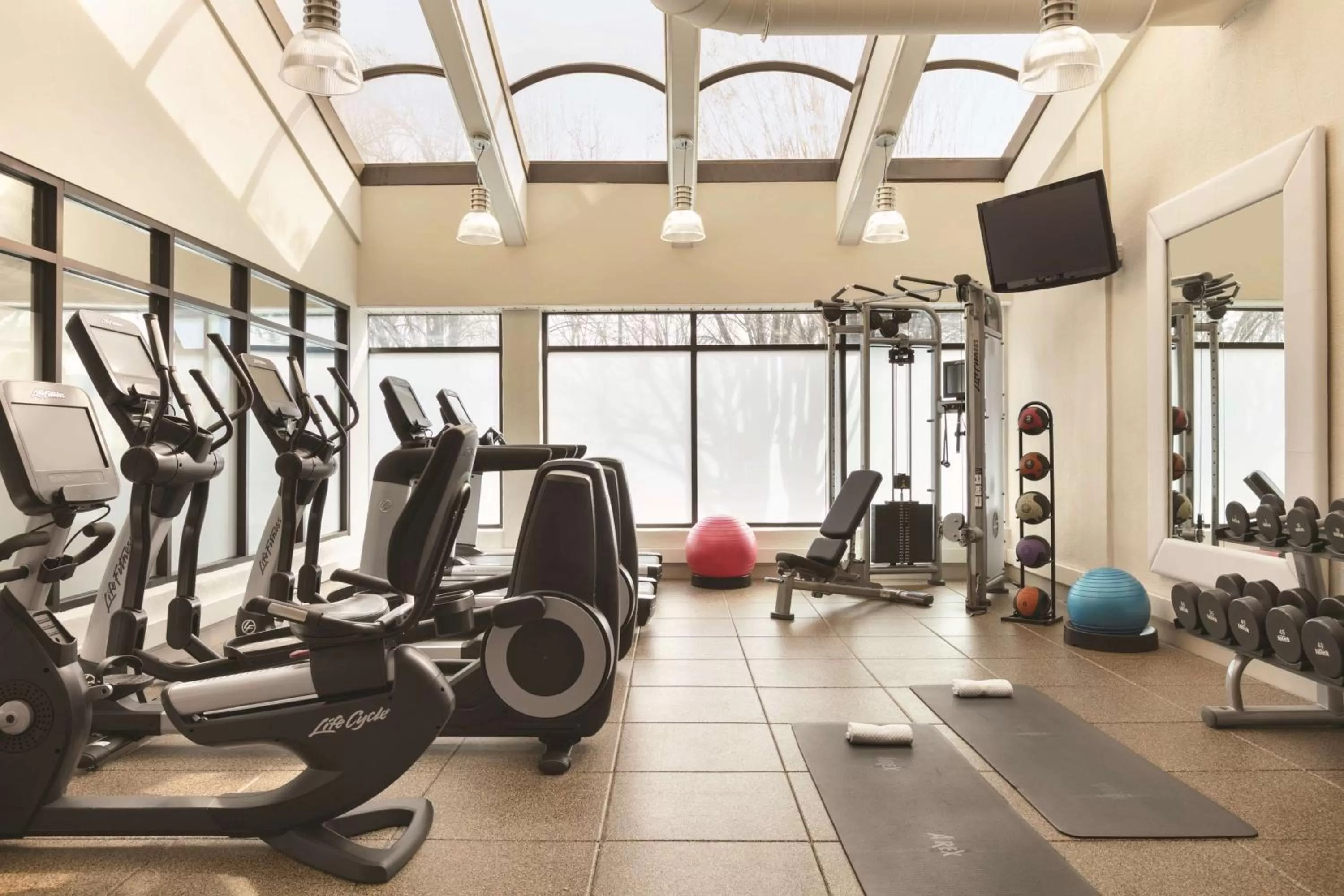 Fitness centre/facilities in Embassy Suites by Hilton Richmond