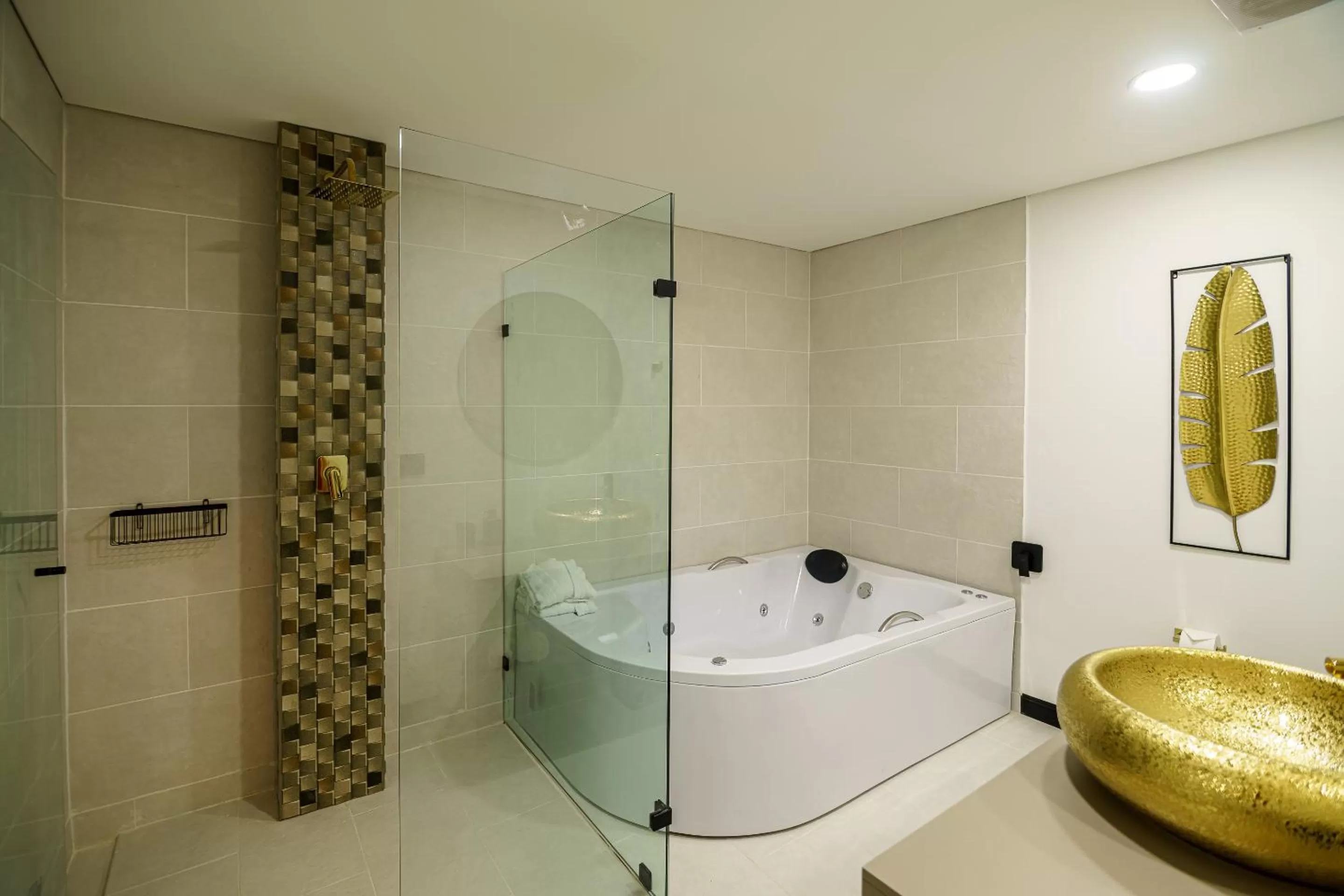 Shower in First Class Hotel