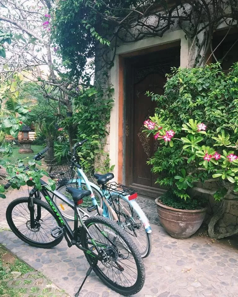 Cycling in Pondok Agung Bed & Breakfast