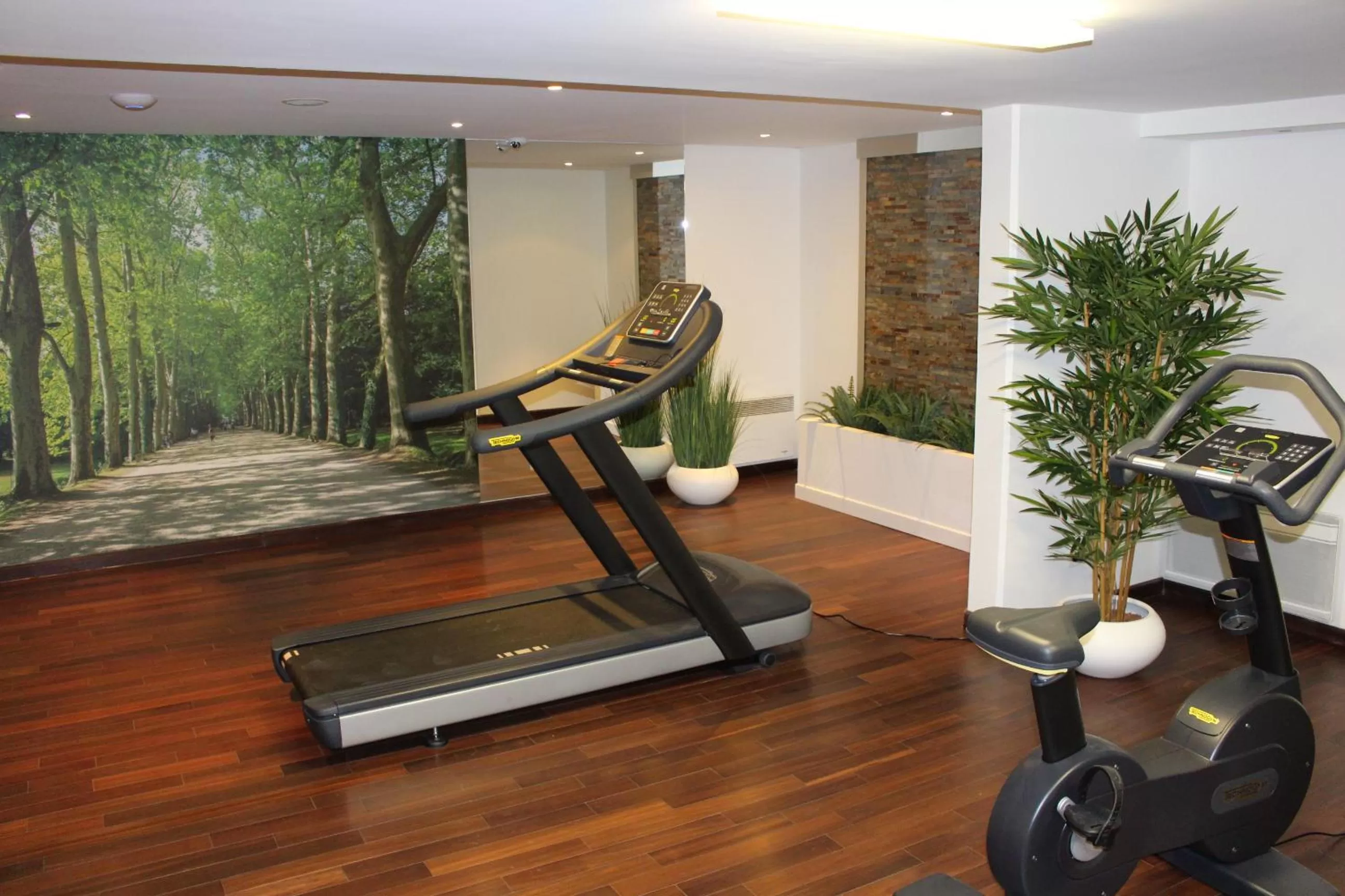 Fitness centre/facilities in Hotel de Berny