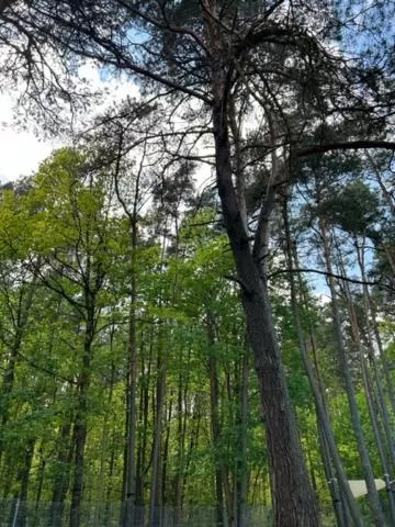 Leśna Residence & SPA