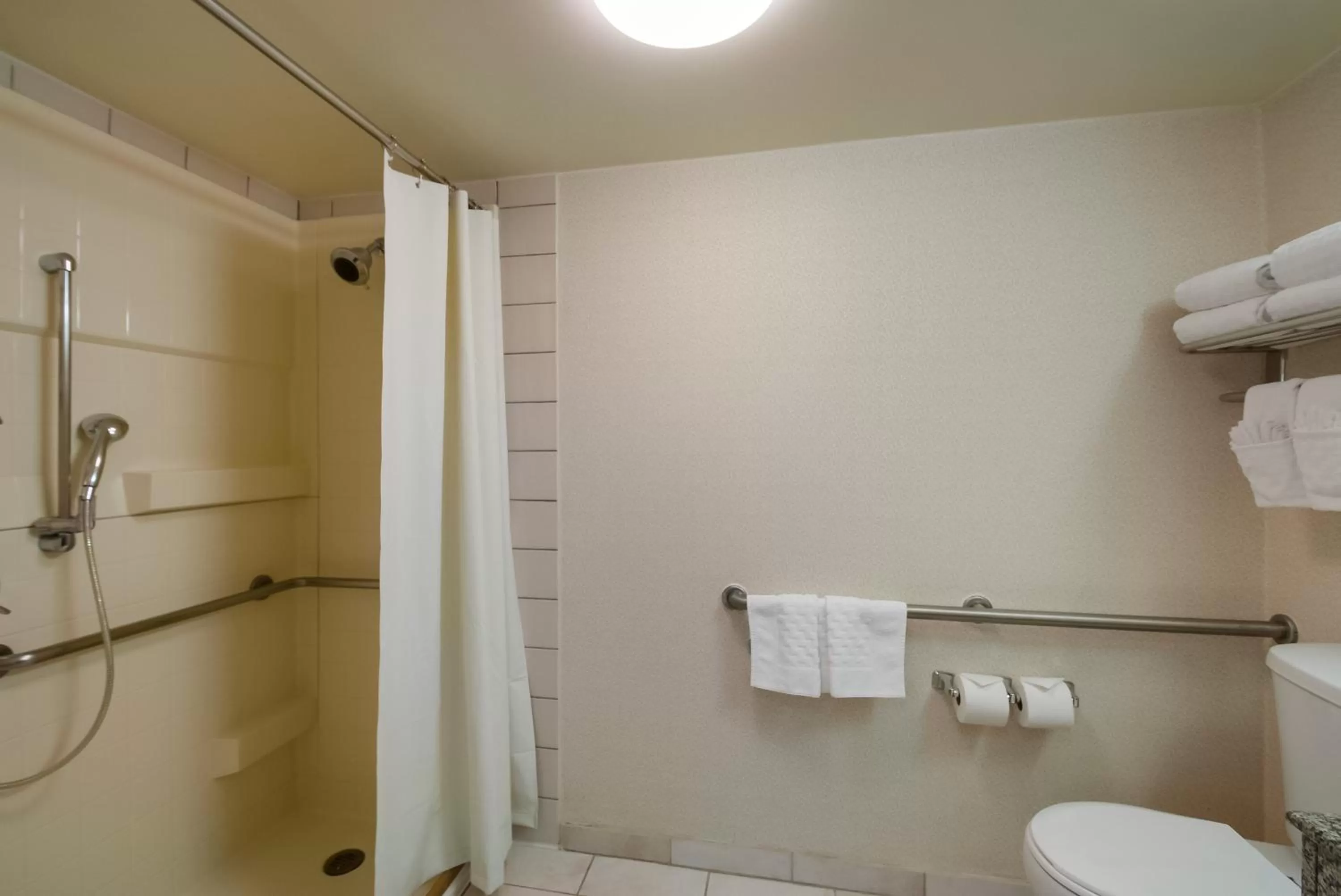 Shower in Best Western Springfield