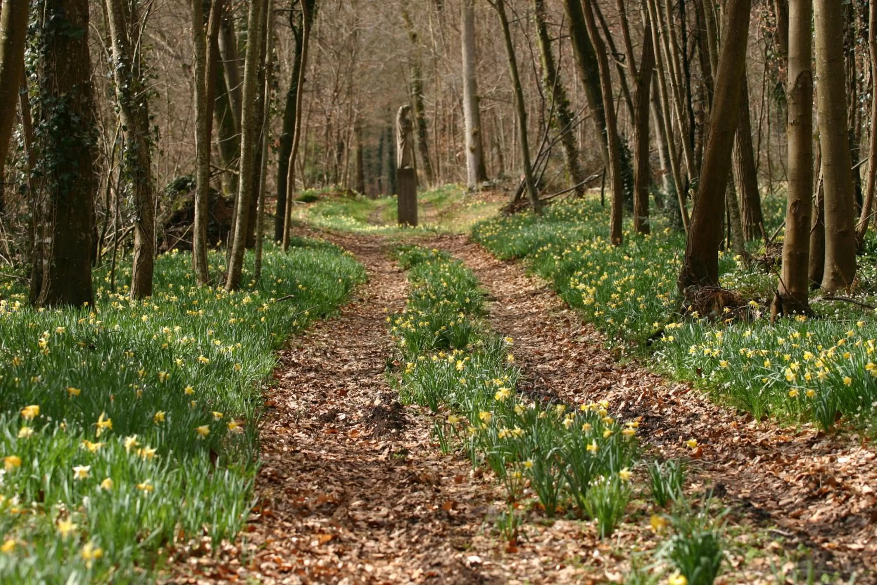 Garden in Château-Hôtel de Bourron