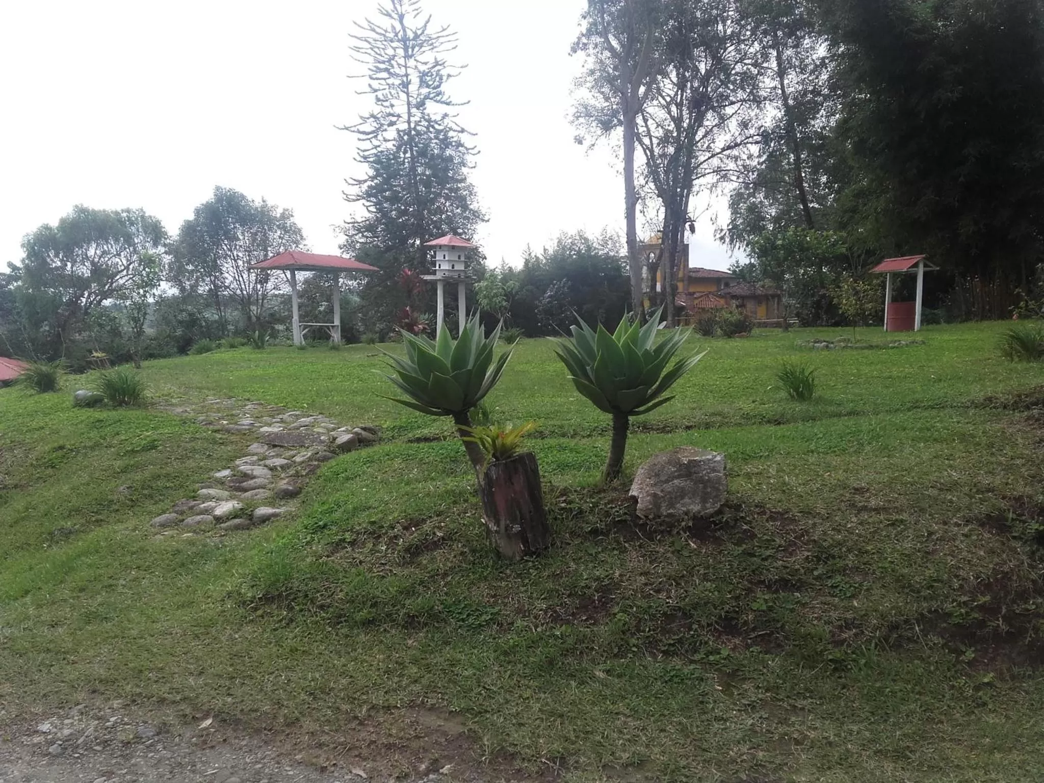 Garden view in La Gaviota BnB