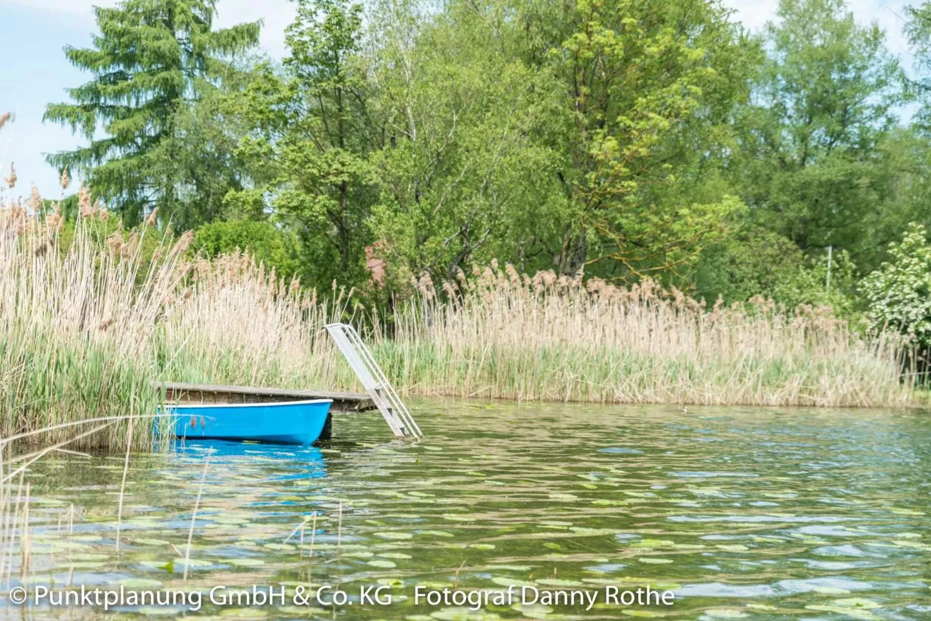 Natural landscape in Hotel Oberwirt