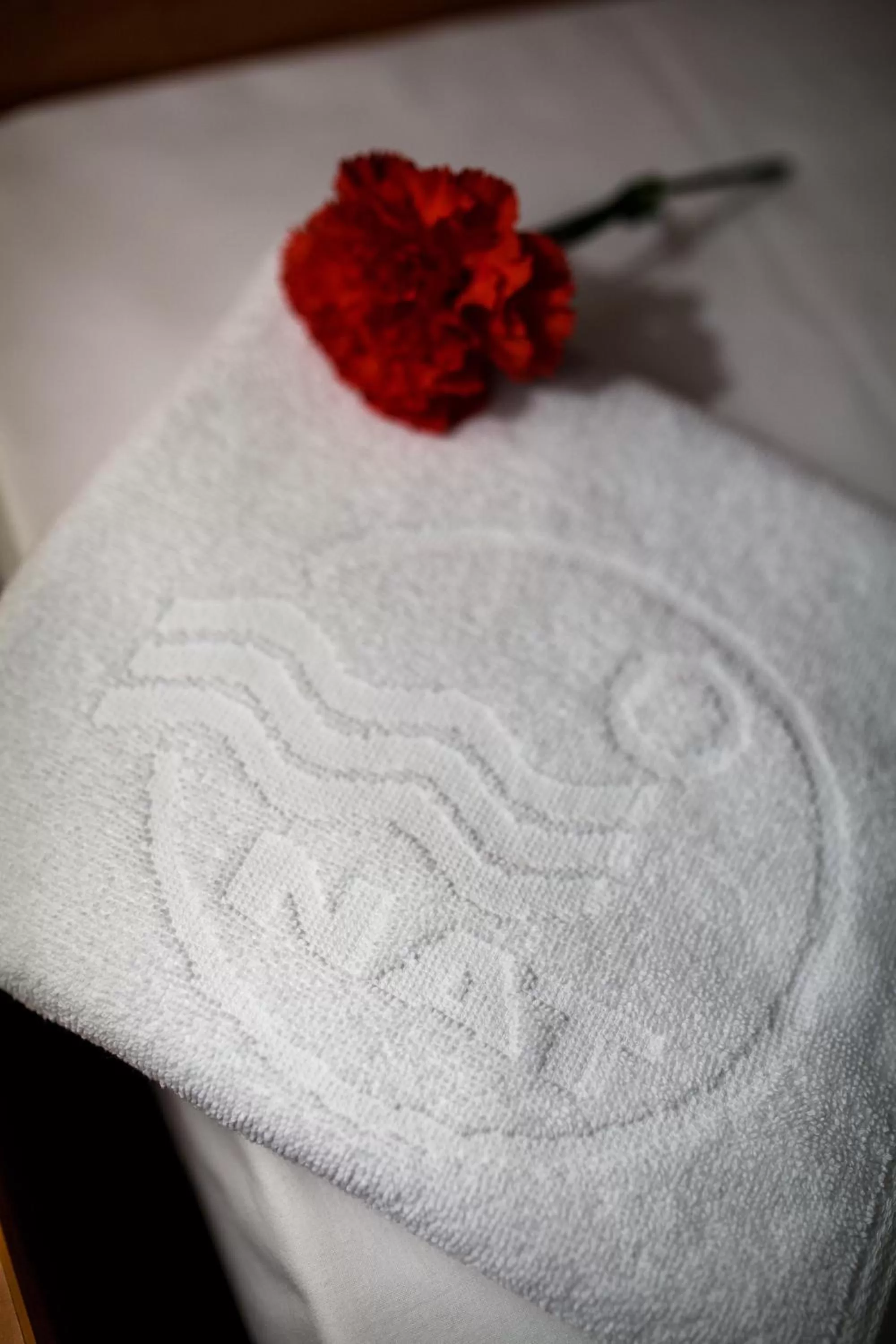 Decorative detail in Hotel *** NAT Ustroń