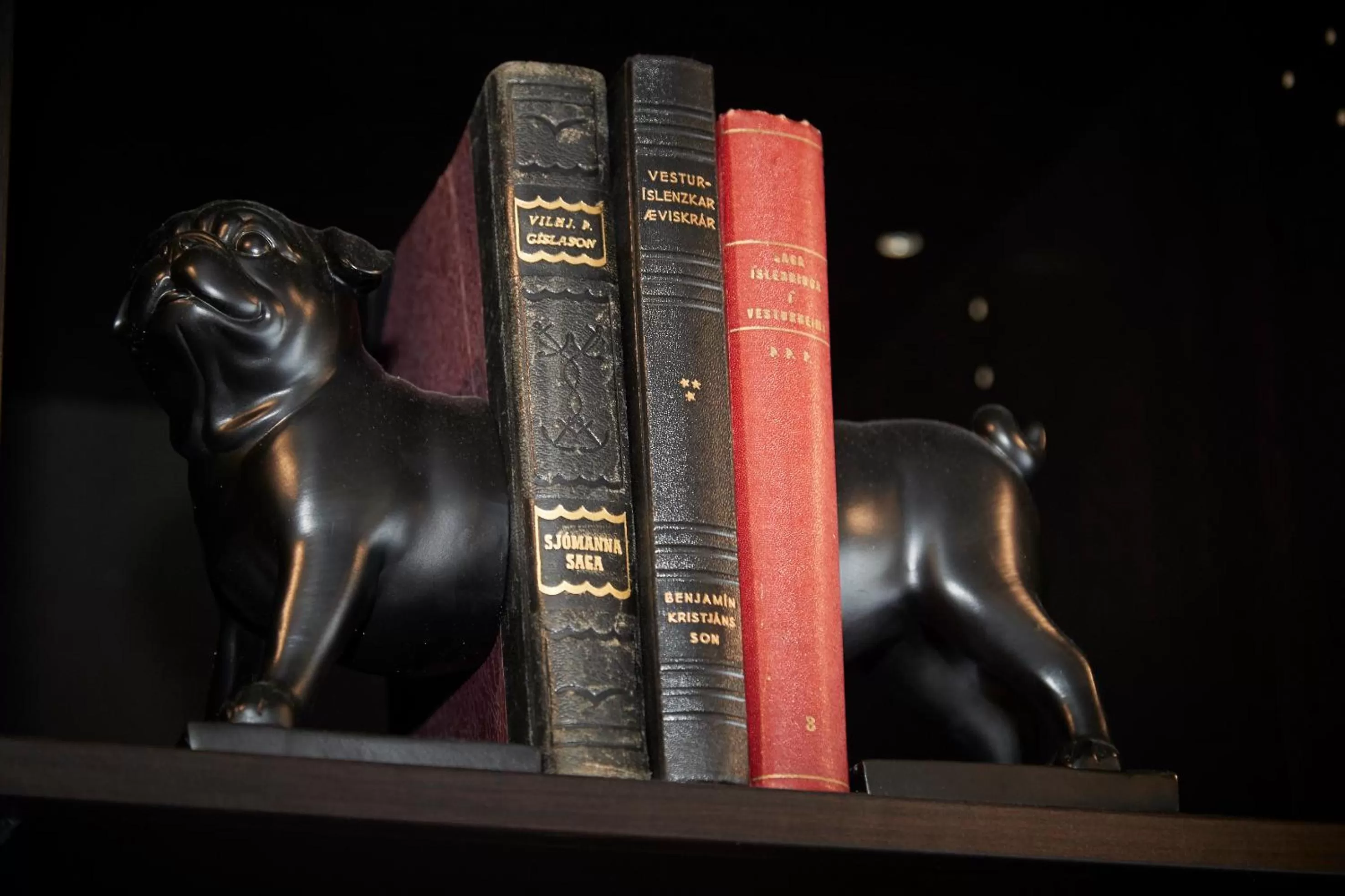 Hotel Akureyri Dynheimar