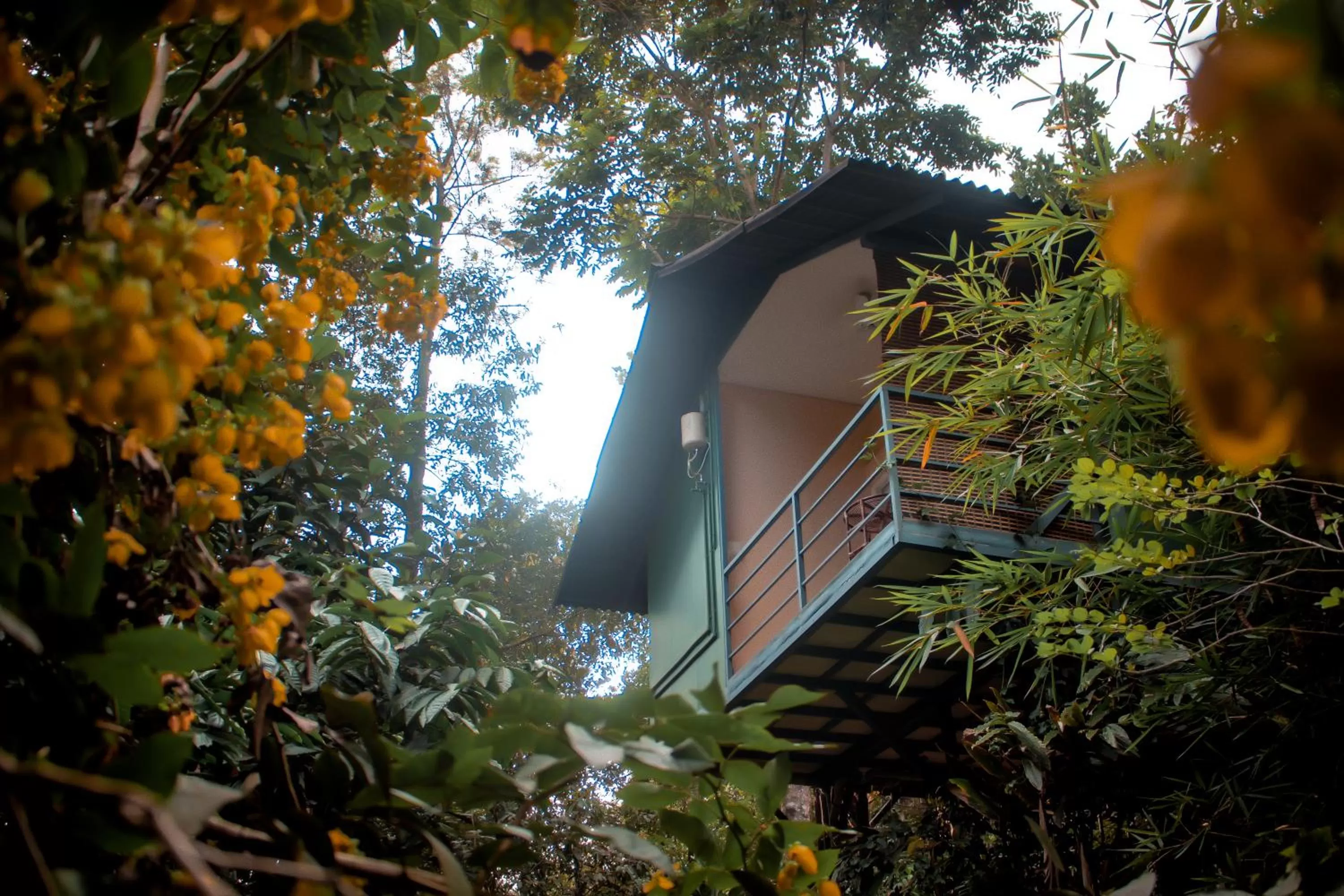 Property building in Edens Munnar