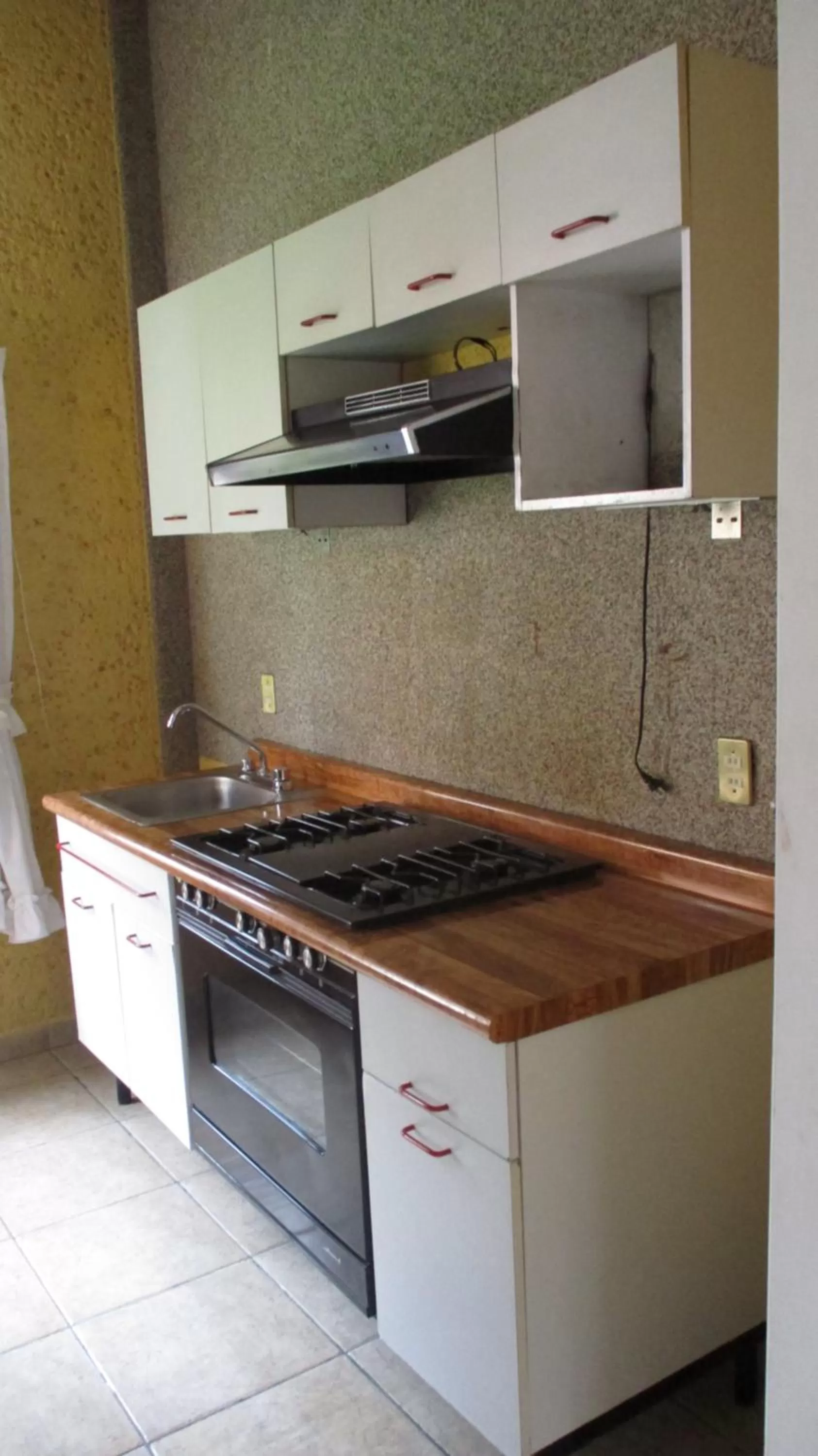 Kitchen or kitchenette in Hotel Villa Monarca Inn