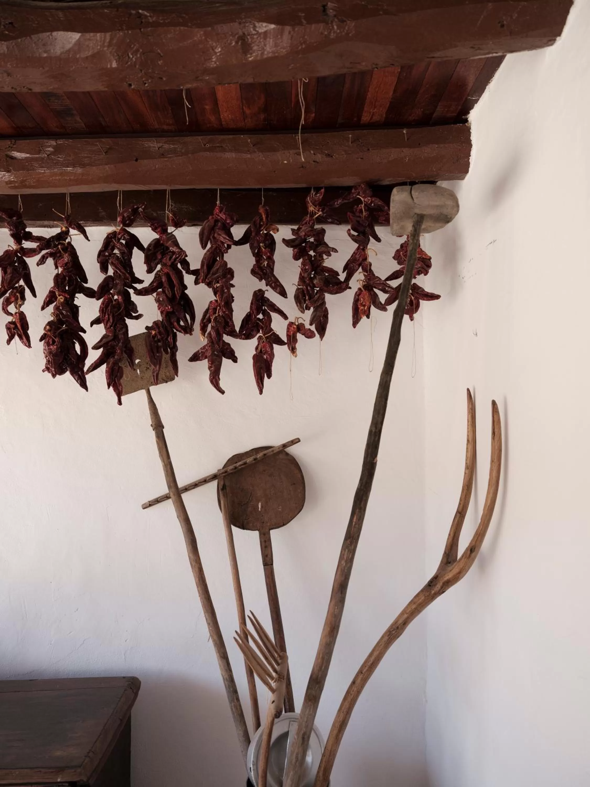 Patio in Hotel Nafarrola - Gastronomy & Wine