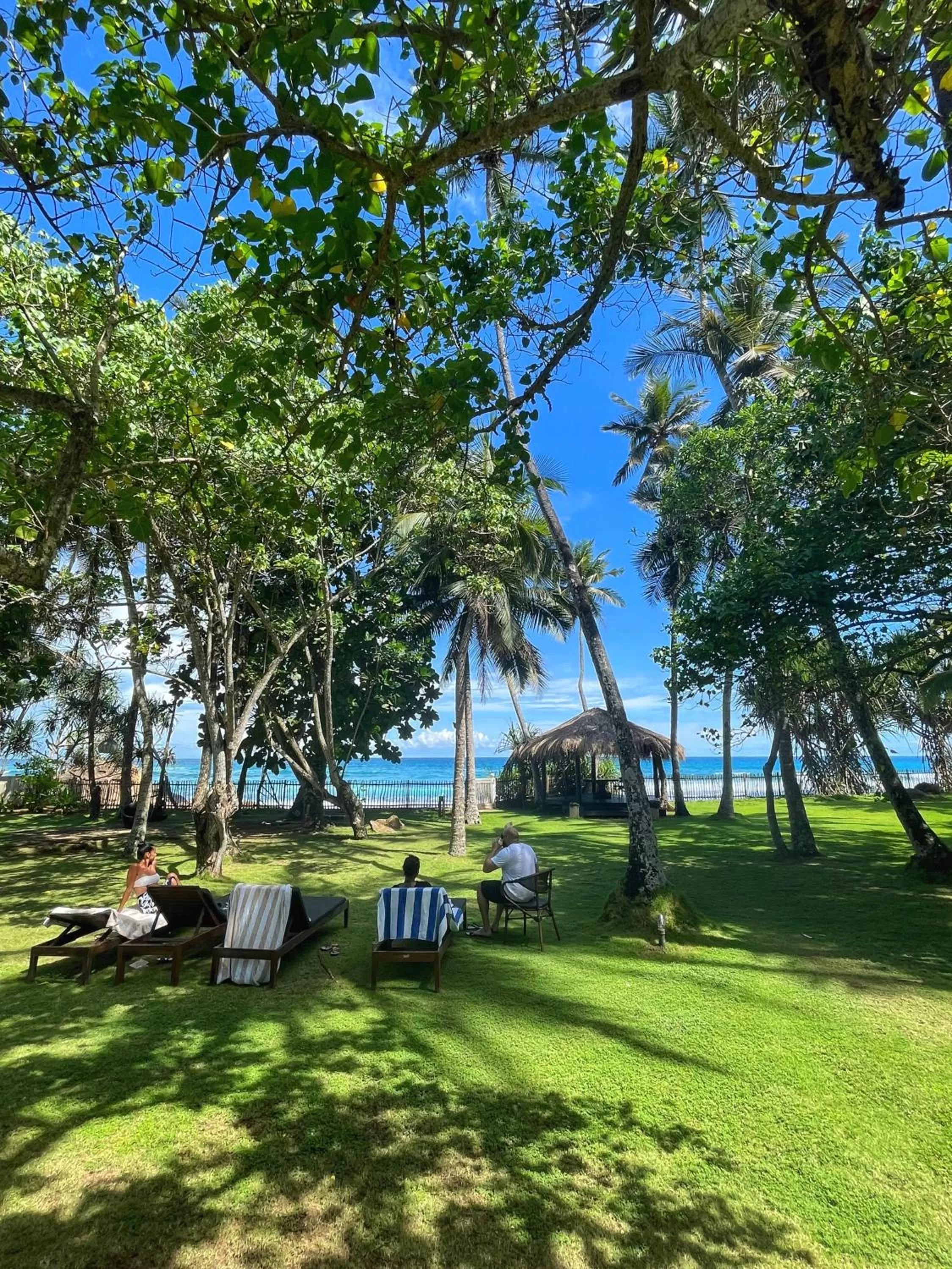 Garden in Satin Doll