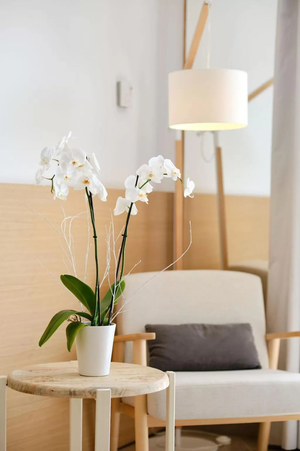 Hotel Villa Chiquita - Adults Only - Over 12