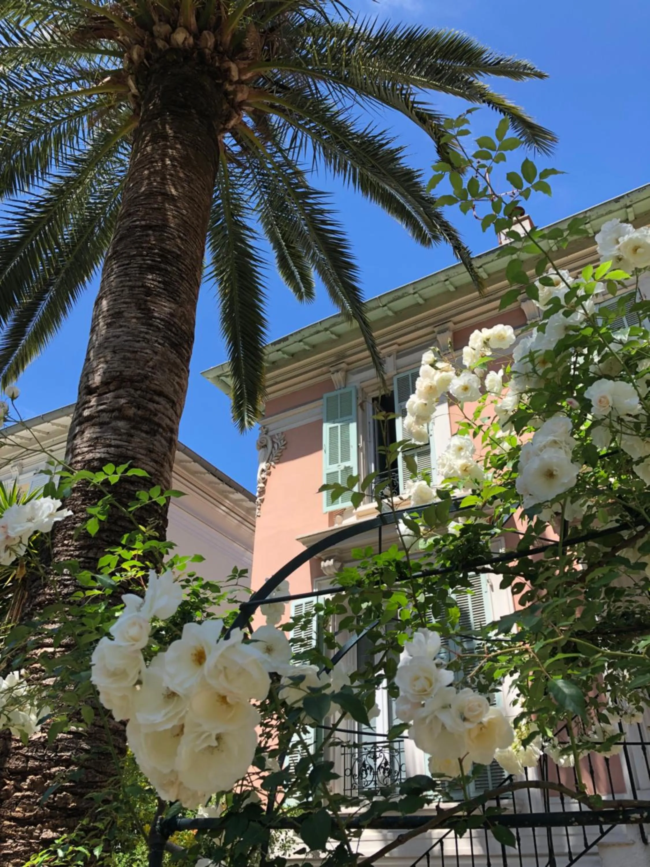 Property building in Hotel Villa Rose