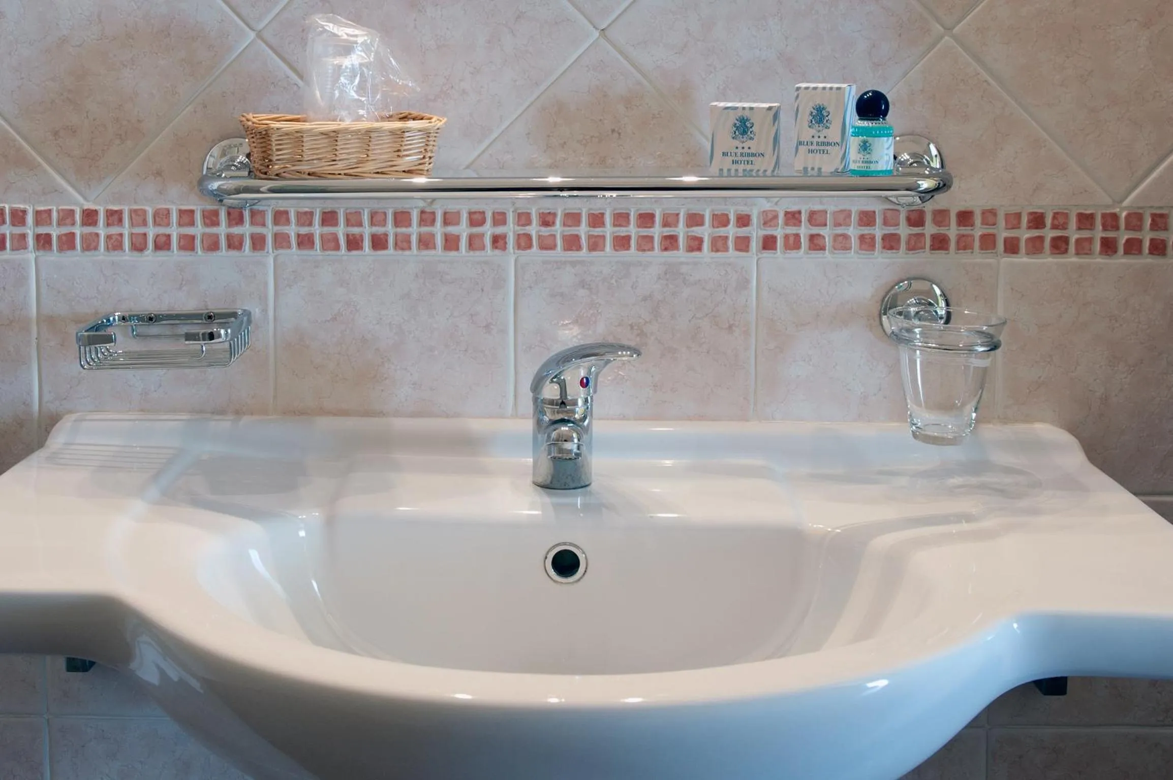 Toilet in Hotel Blue Ribbon