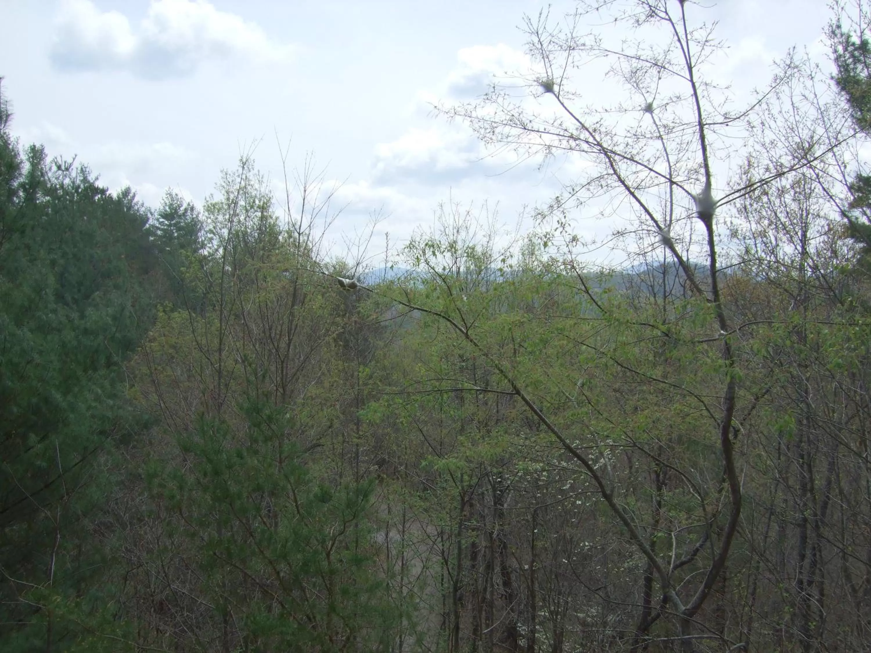 Balcony/Terrace in Paradise Hills, Winery Resort & Spa