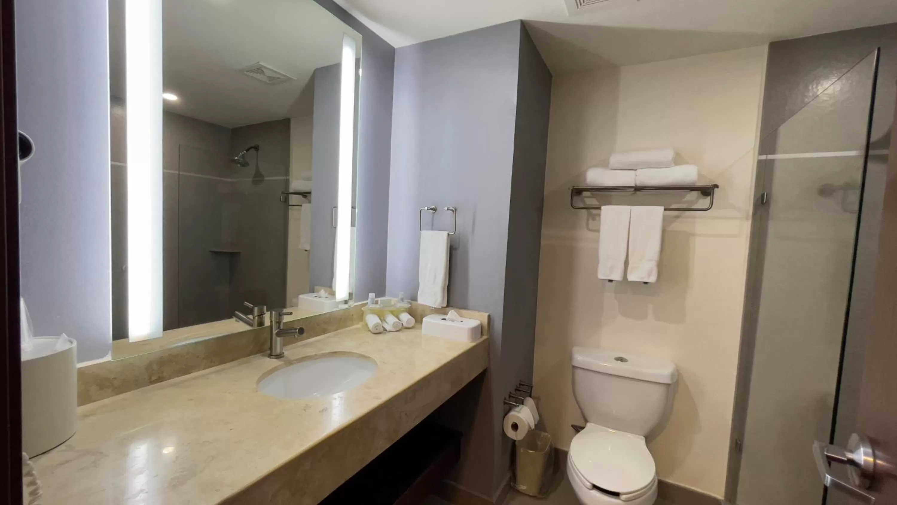 Bathroom in Holiday Inn Express Culiacan by IHG