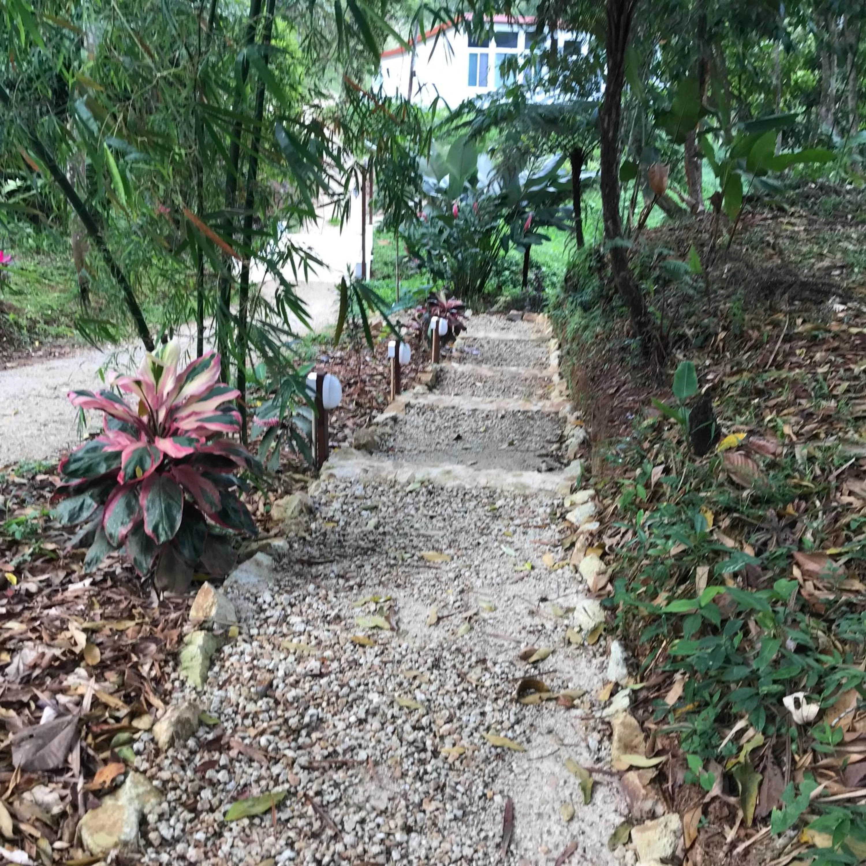 Garden in Sattva Land