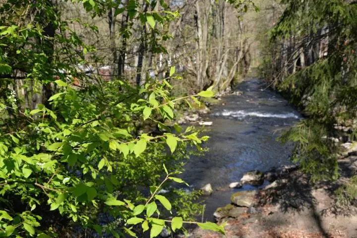 Area and facilities in B&B Les Tilleuls