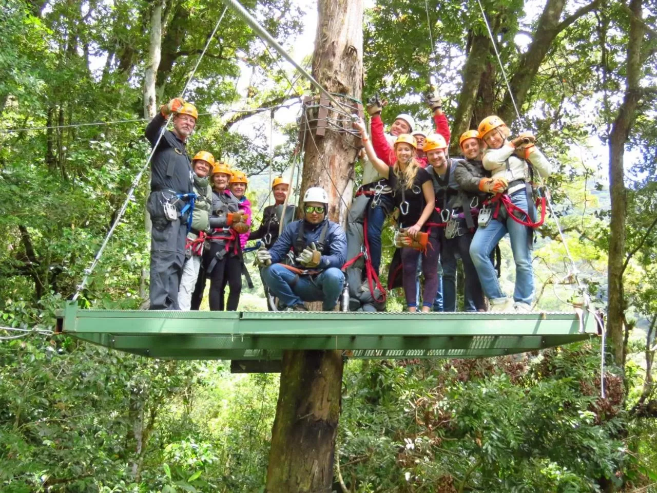 Activities in TREE TREK BOQUETE Adventure Park