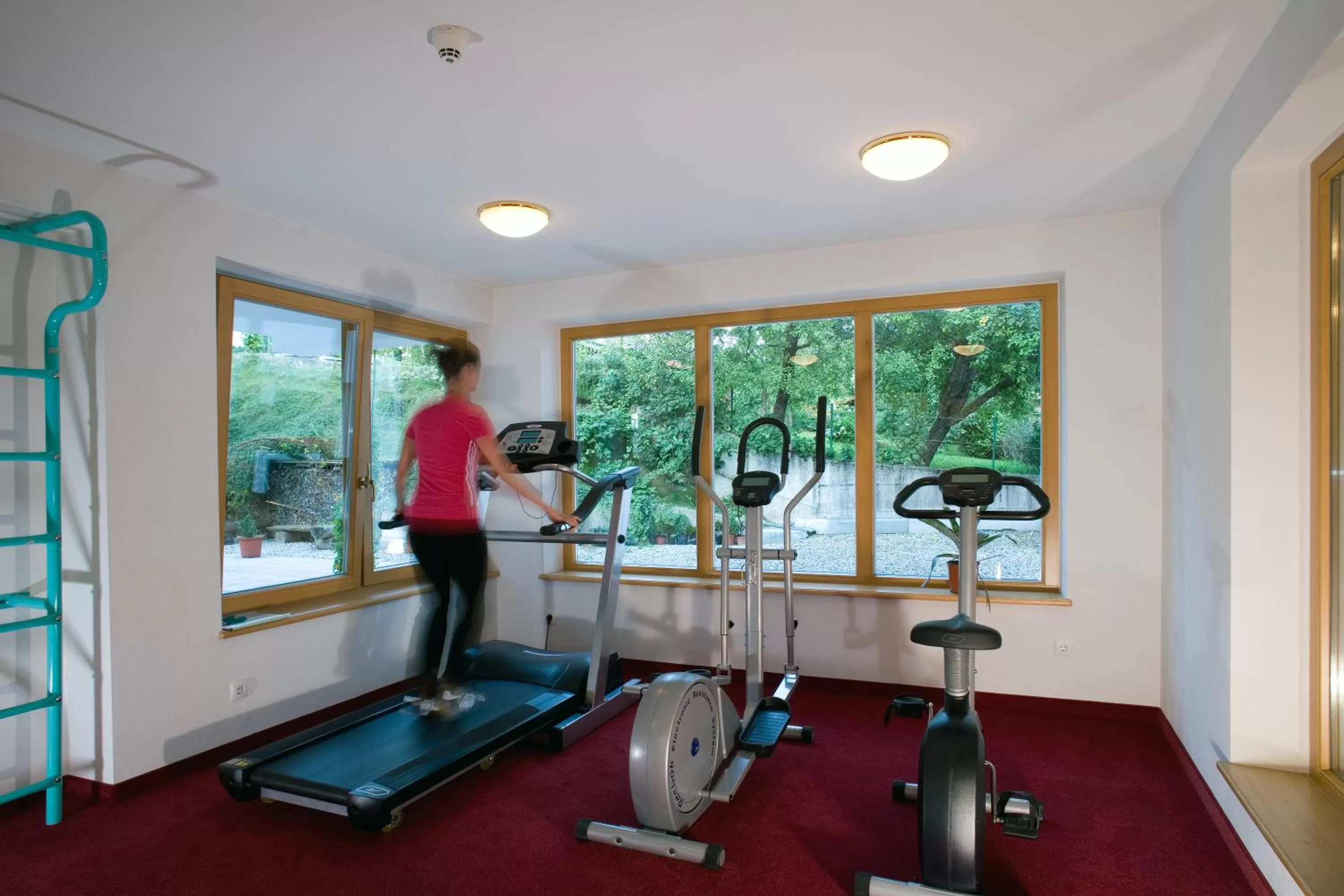 Fitness centre/facilities in Hotel Alpenpanorama