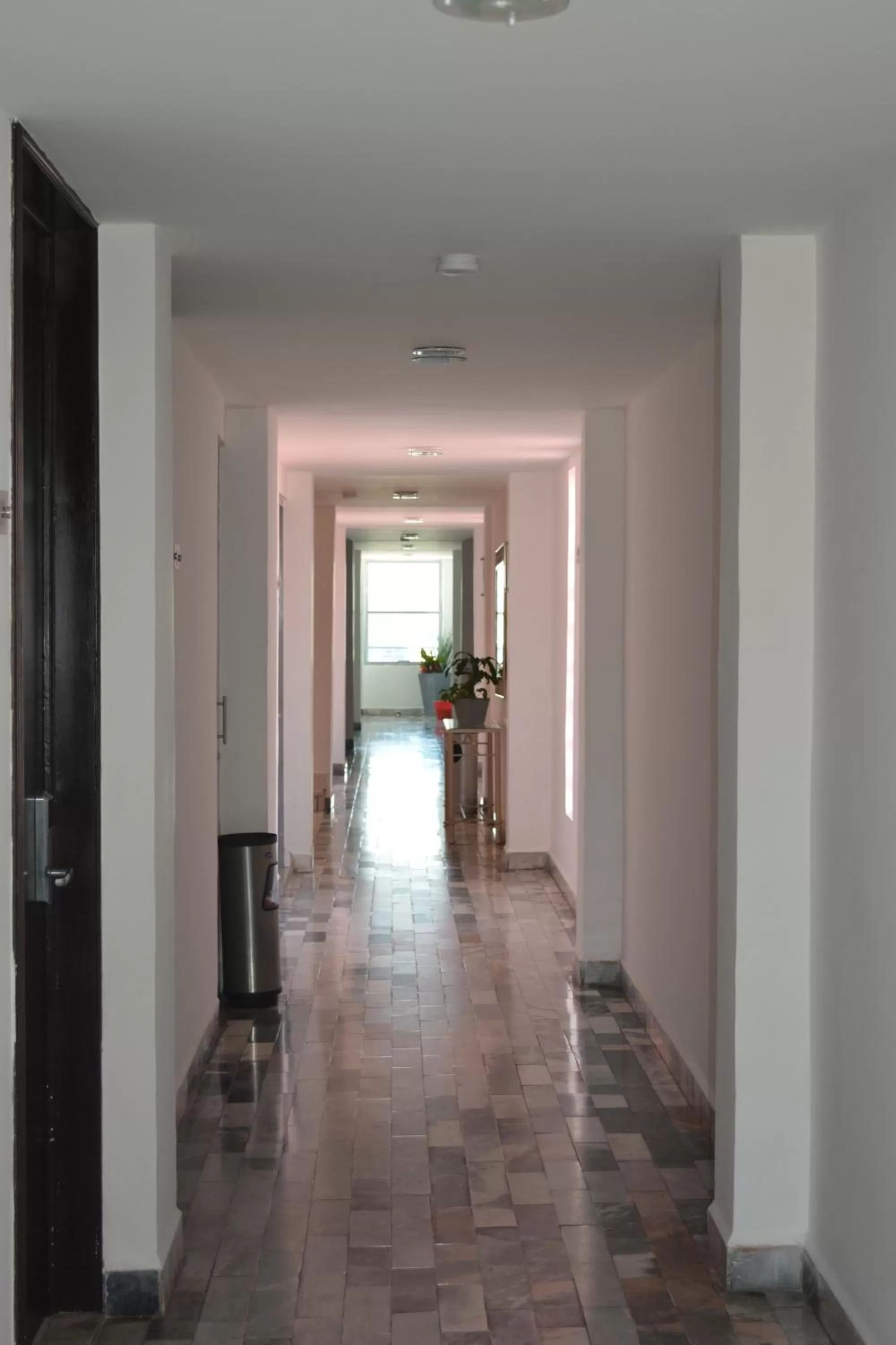 Area and facilities in Hotel del Parque