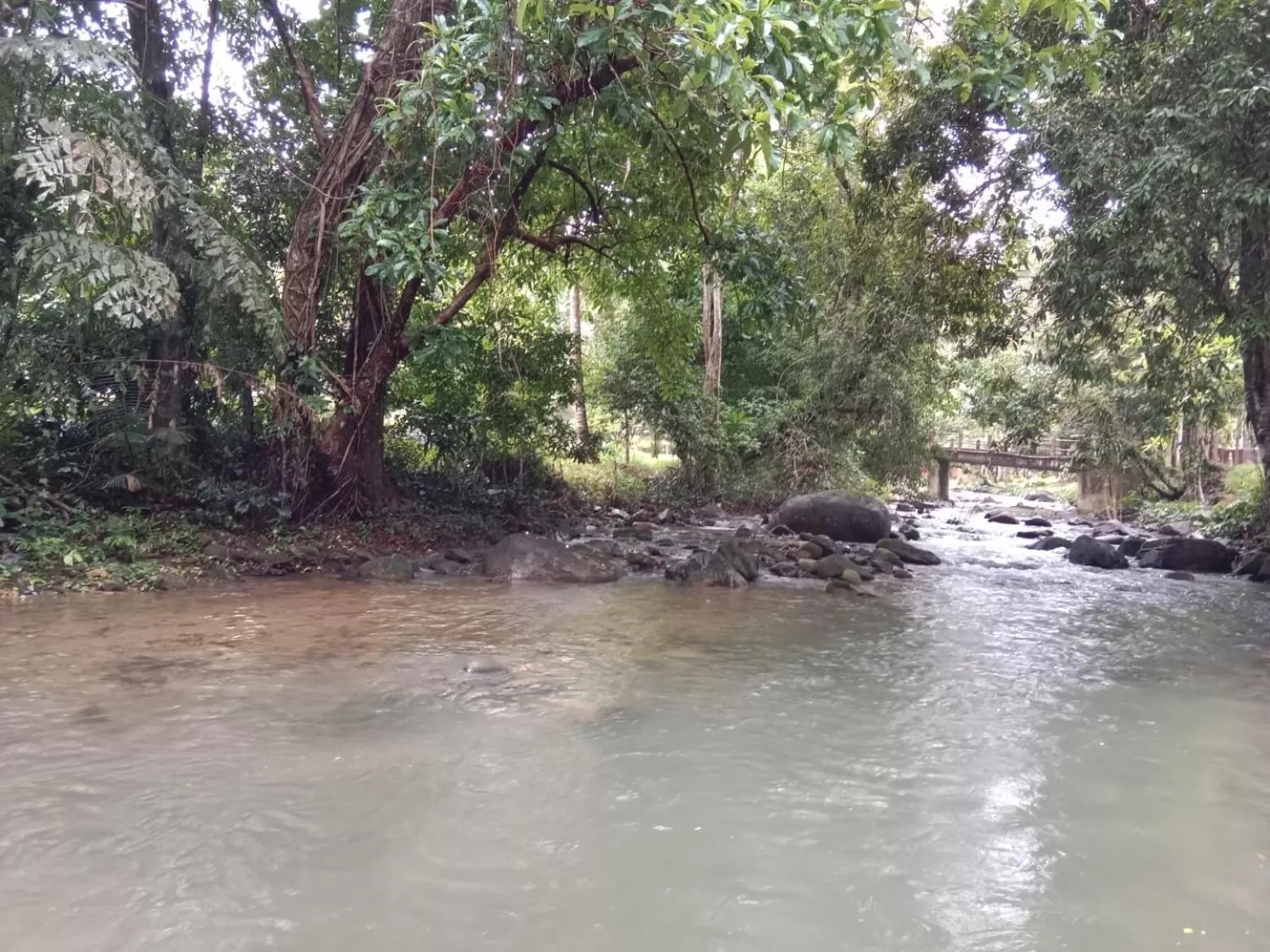 Tree Tops River Huts