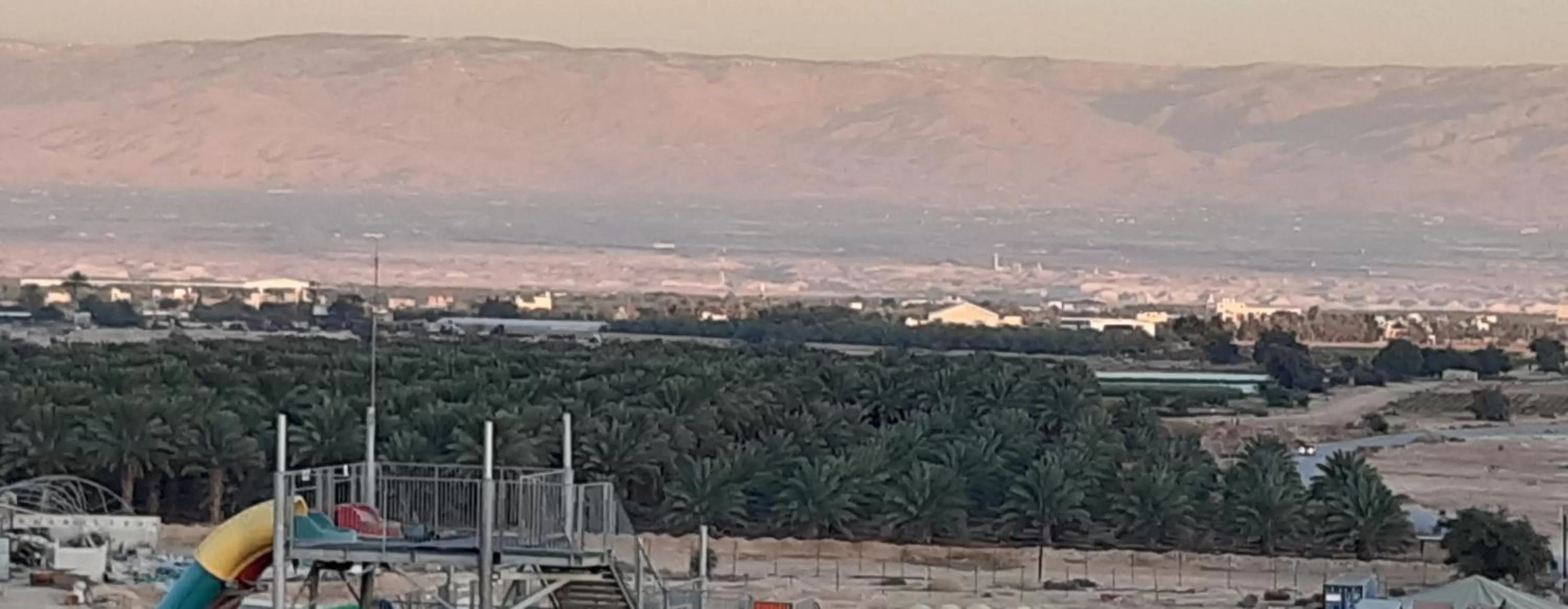 Dolphin Suites Hotel