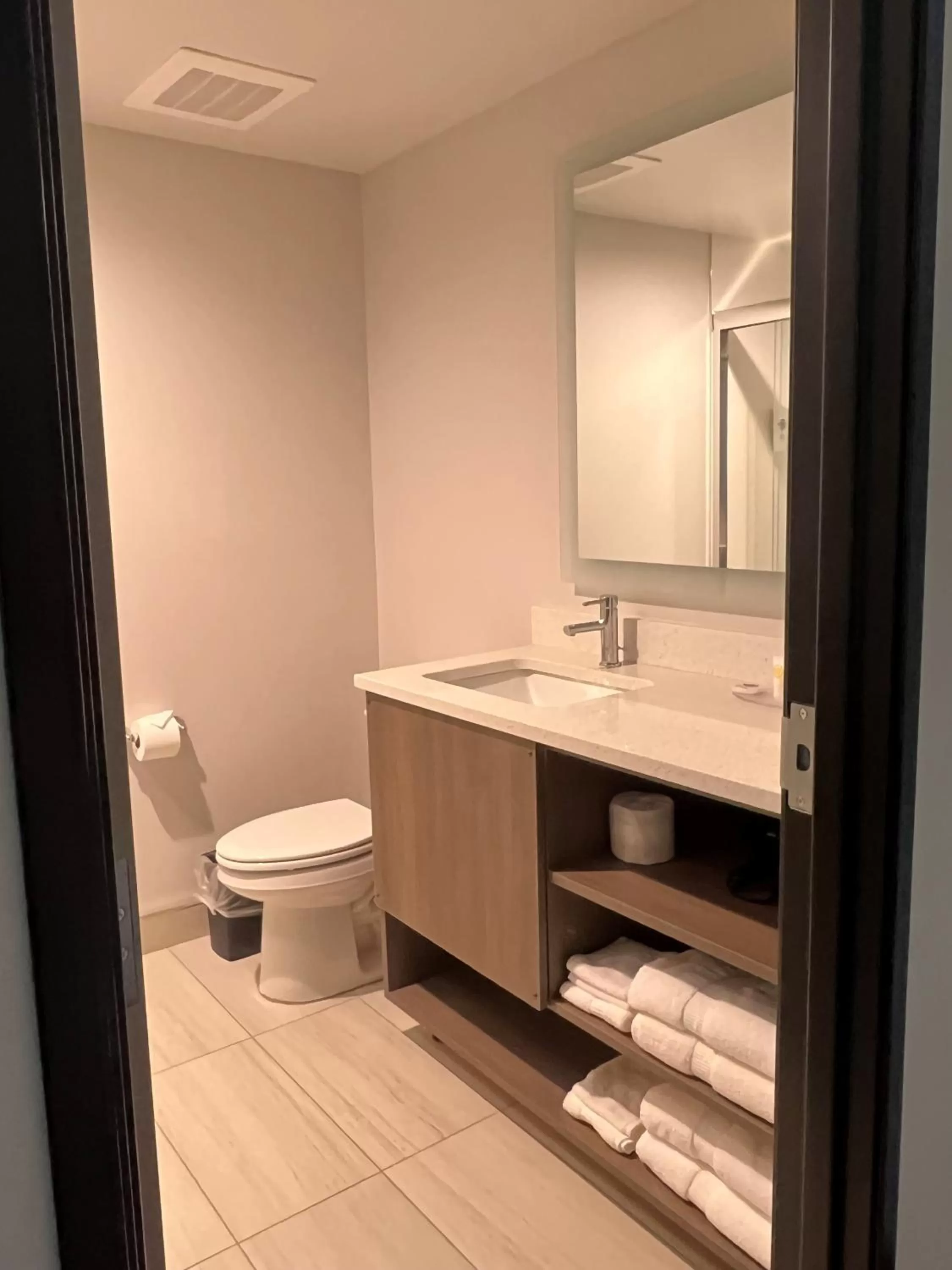 Bathroom in Comfort Inn & Suites New Port Richey Downtown District
