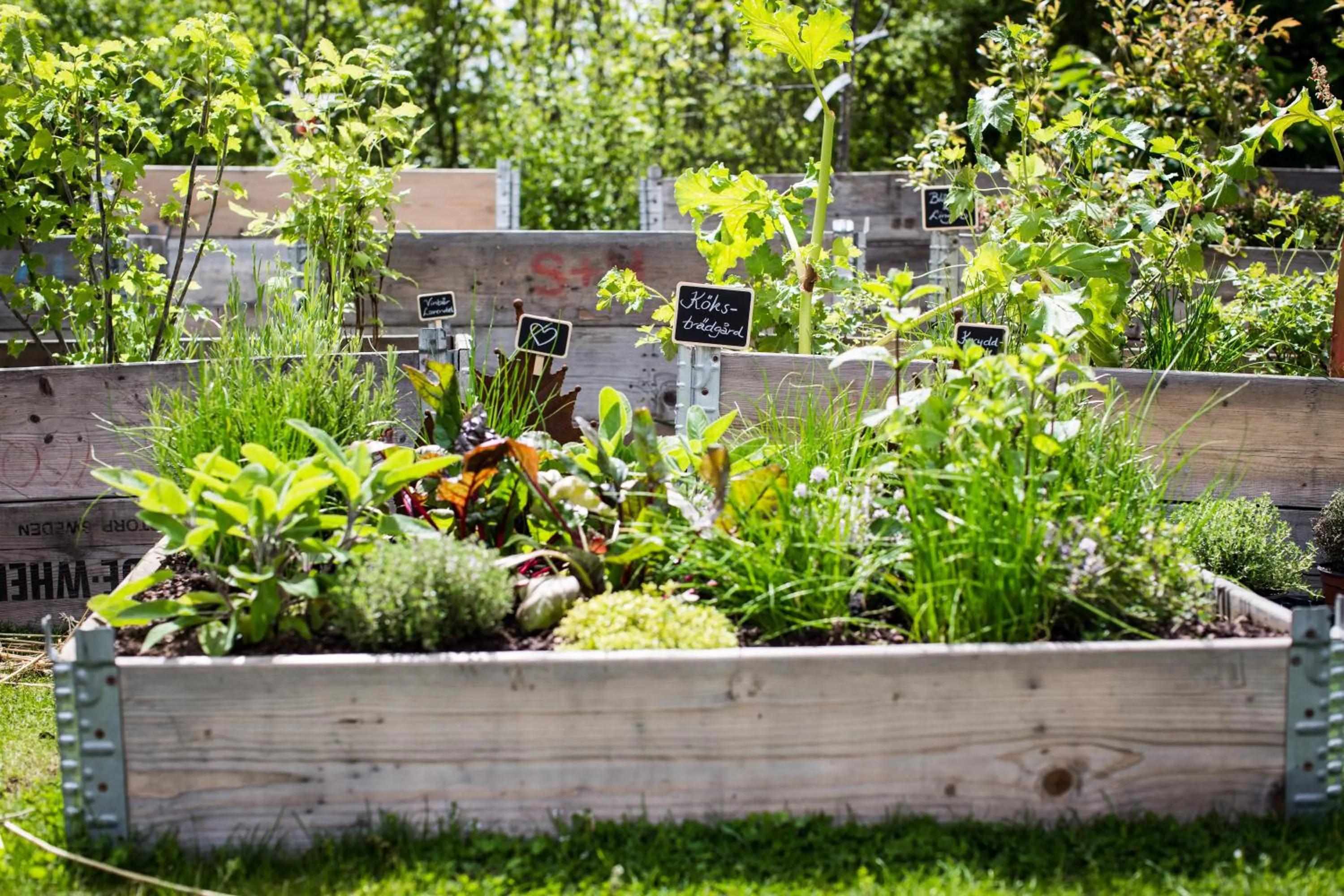 Summer in Arken Hotel & Art Garden Spa